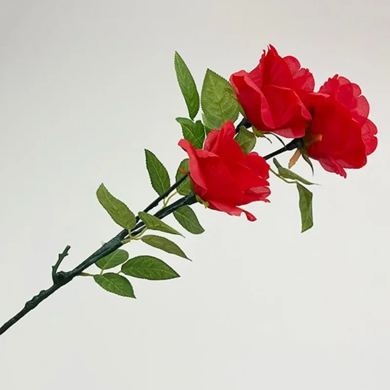 Super Light Rose Queen (Charging Version) Magic Tricks Magician Stage Bar Party Wedding Gimmick Prop Comedy Trucos De Magia
Super Light Rose Queen (Charging Version) Magic Tricks Magician Stage Bar Party Wedding Gimmick Prop Comedy Trucos De Magia
