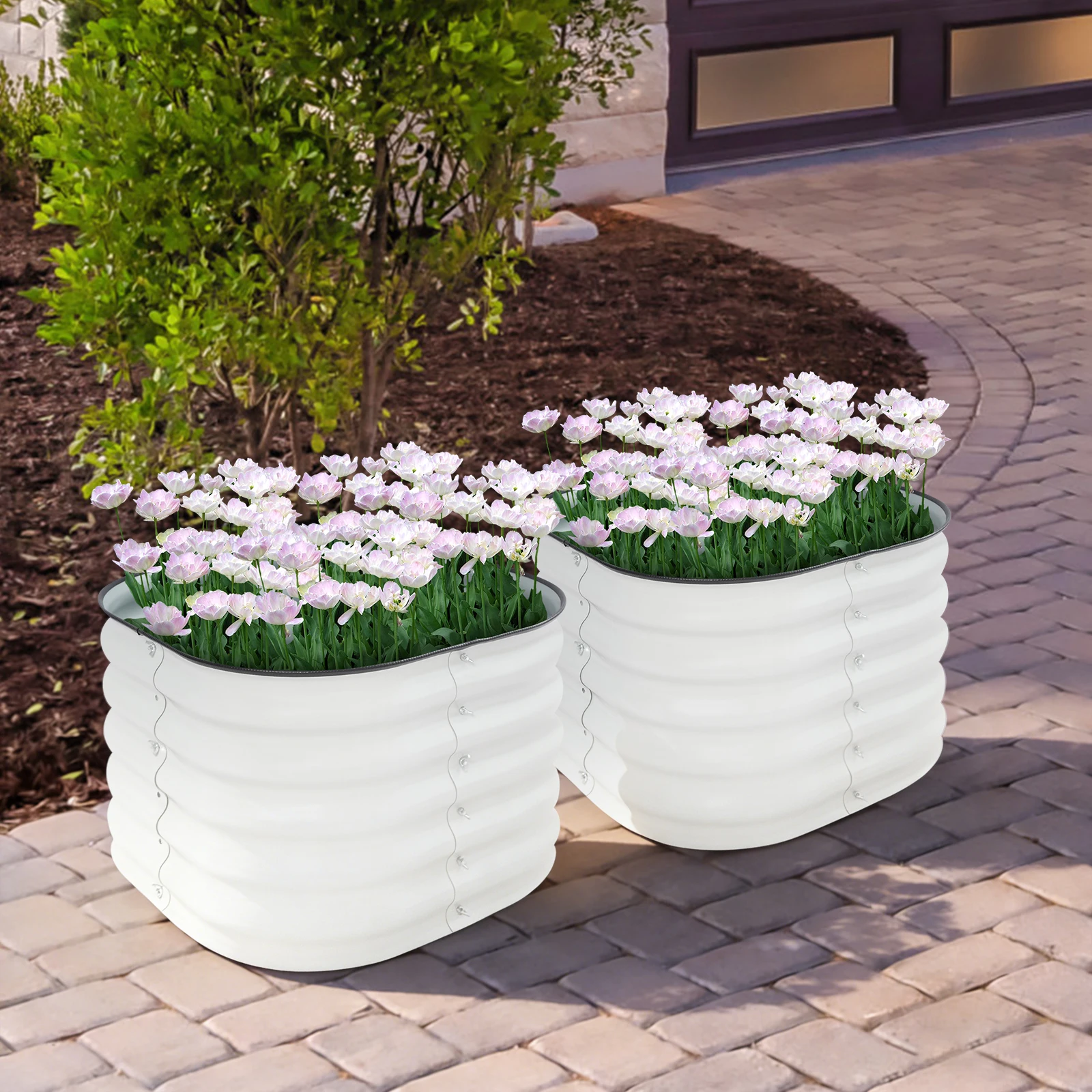 2pcs Round Metal Planter Raised Beds, Raised Garden Bed, Outdoor Planting Box, Durable Drainage, Pest Protection for Vegetables
2pcs Round Metal Planter Raised Beds, Raised Garden Bed, Outdoor Planting Box, Durable Drainage, Pest Protection for Vegetables