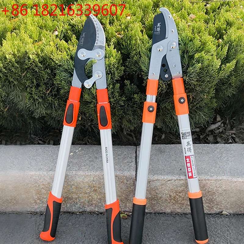 High Branch Shears Pruning Shears Garden Scissors Branch Cutting Tool Strong Scissors Garden Telescopic Pruning Shears
High Branch Shears Pruning Shears Garden Scissors Branch Cutting Tool Strong Scissors Garden Telescopic Pruning Shears
