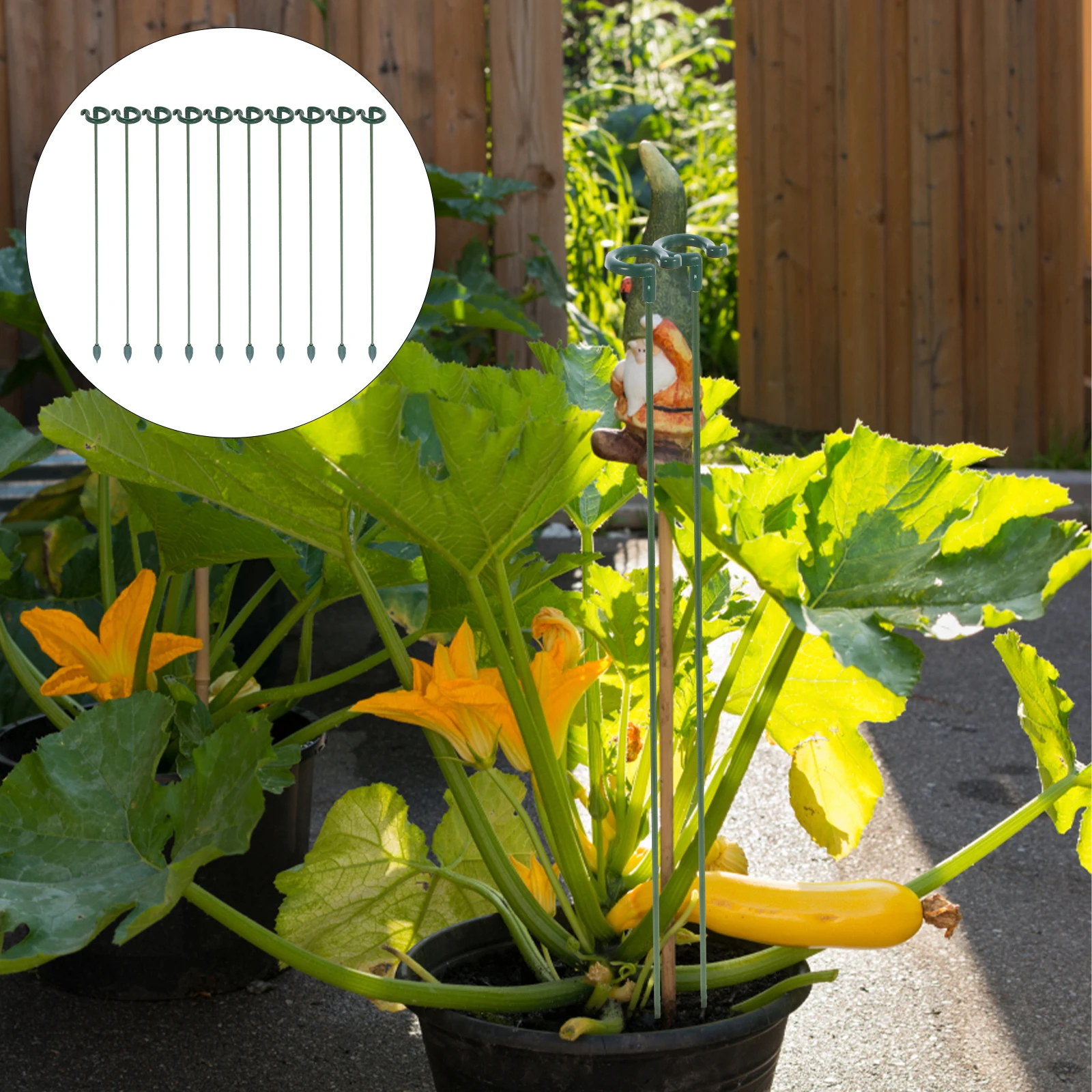 10 Pieces 37cm Plant Growth Stakes Pot Support Stands for Climbing Plants Flowers Vegetables Garden Use
10 Pieces 37cm Plant Growth Stakes Pot Support Stands for Climbing Plants Flowers Vegetables Garden Use