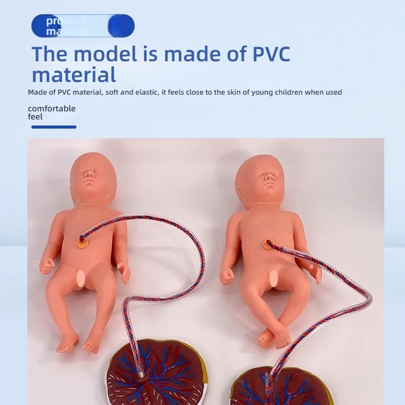 unique Newborn Care Model with Placenta PVC Manikin for Umbilical Cord and Placenta Training Medical Science Tool for Schools
unique Newborn Care Model with Placenta PVC Manikin for Umbilical Cord and Placenta Training Medical Science Tool for Schools