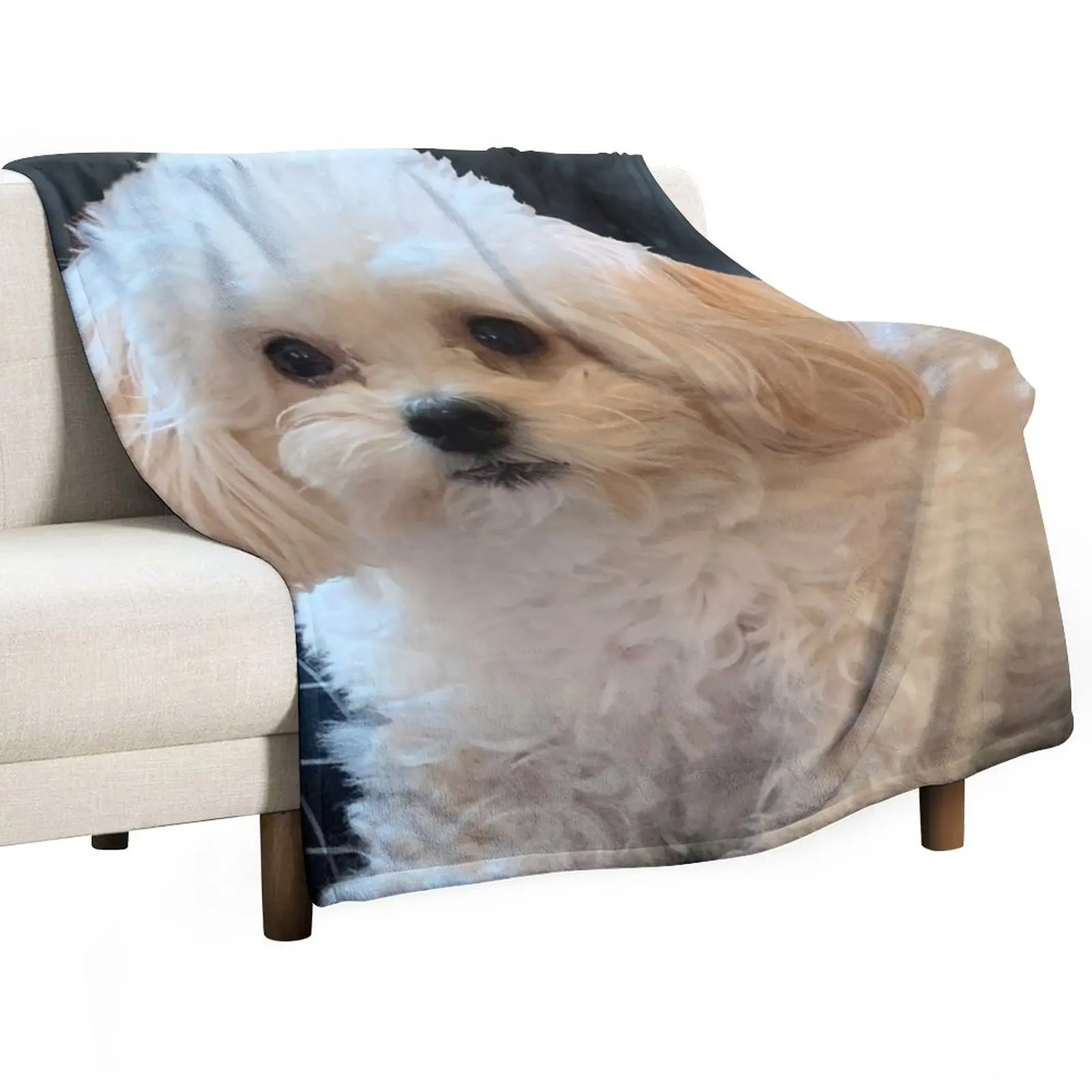 Maltipoo Love. Beautiful little dog with long silky white hair. Throw Blanket Fluffy Shaggy Blanket Blanket For Baby
Maltipoo Love. Beautiful little dog with long silky white hair. Throw Blanket Fluffy Shaggy Blanket Blanket For Baby