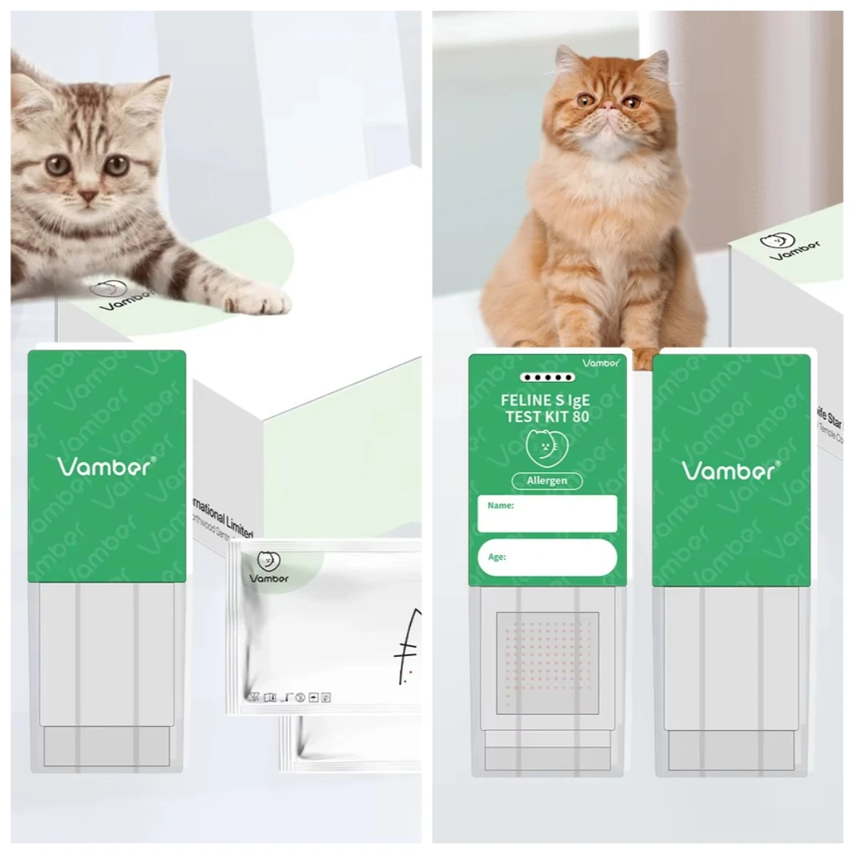 Cat T & S IgE Allergy Test Kit Model T+80S For Feline Allergen Detection
Cat T & S IgE Allergy Test Kit Model T+80S For Feline Allergen Detection