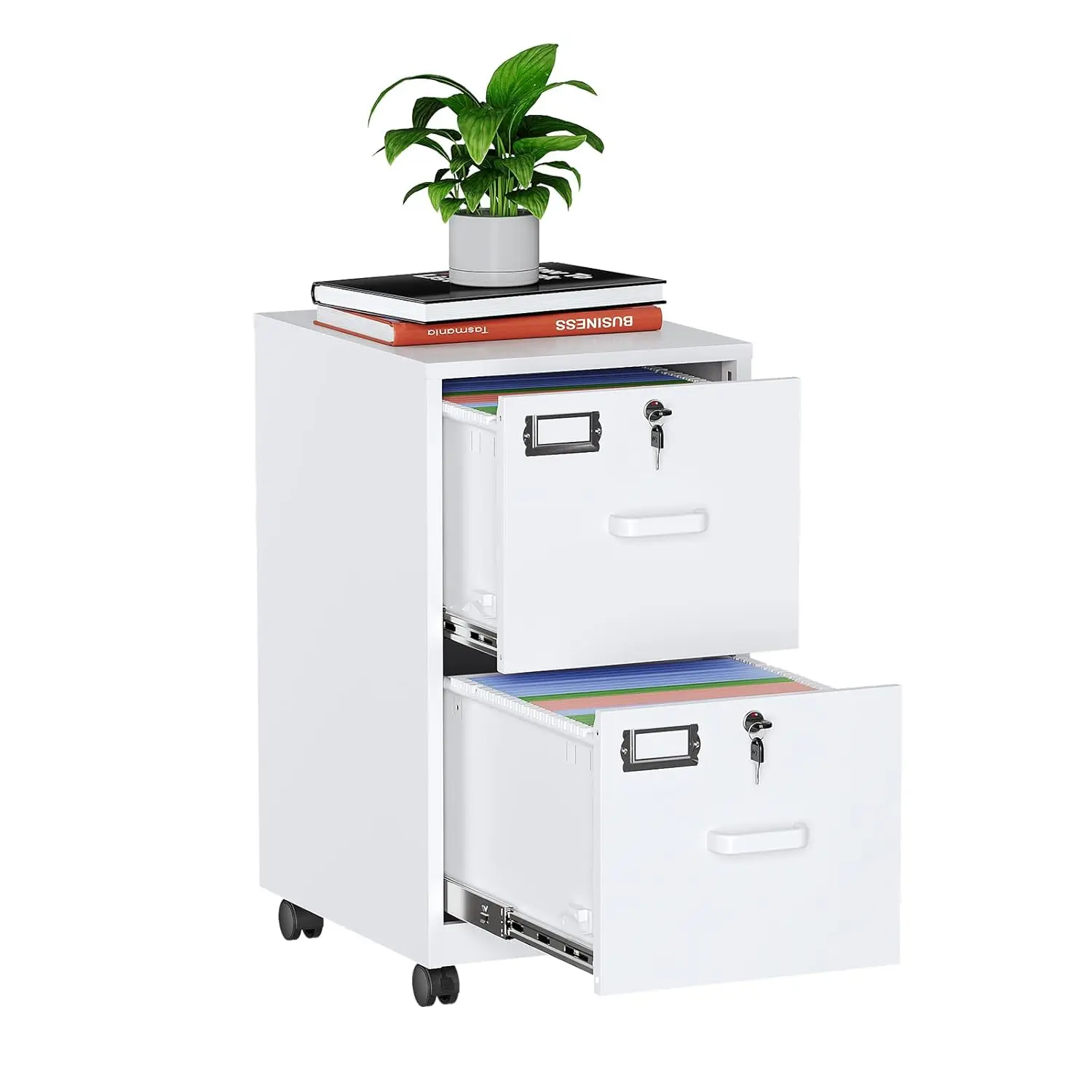 2 Drawer File Cabinet with Lock, Metal Vertical Filing Cabinets for Home Office, Lockable File Storage Cabinets, Customized
