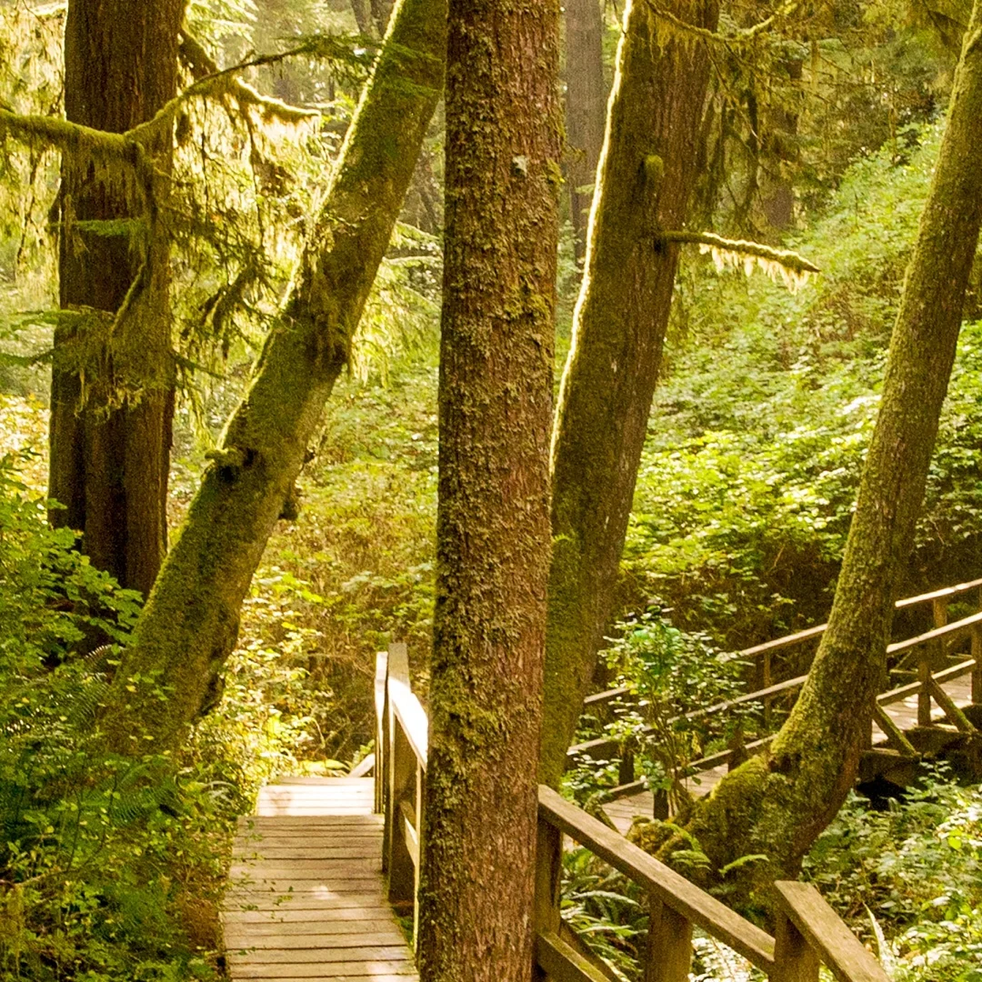 12,3-дюймовый головной блок для Porsche Cayenne, навигация, GPS, Bluetooth, радио, CarPlay, автомобильный мультимедийный плеер, сенсорный экран DSP
12,3-дюймовый головной блок для Porsche Cayenne, навигация, GPS, Bluetooth, радио, CarPlay, автомобильный мультимедийный плеер, сенсорный экран DSP