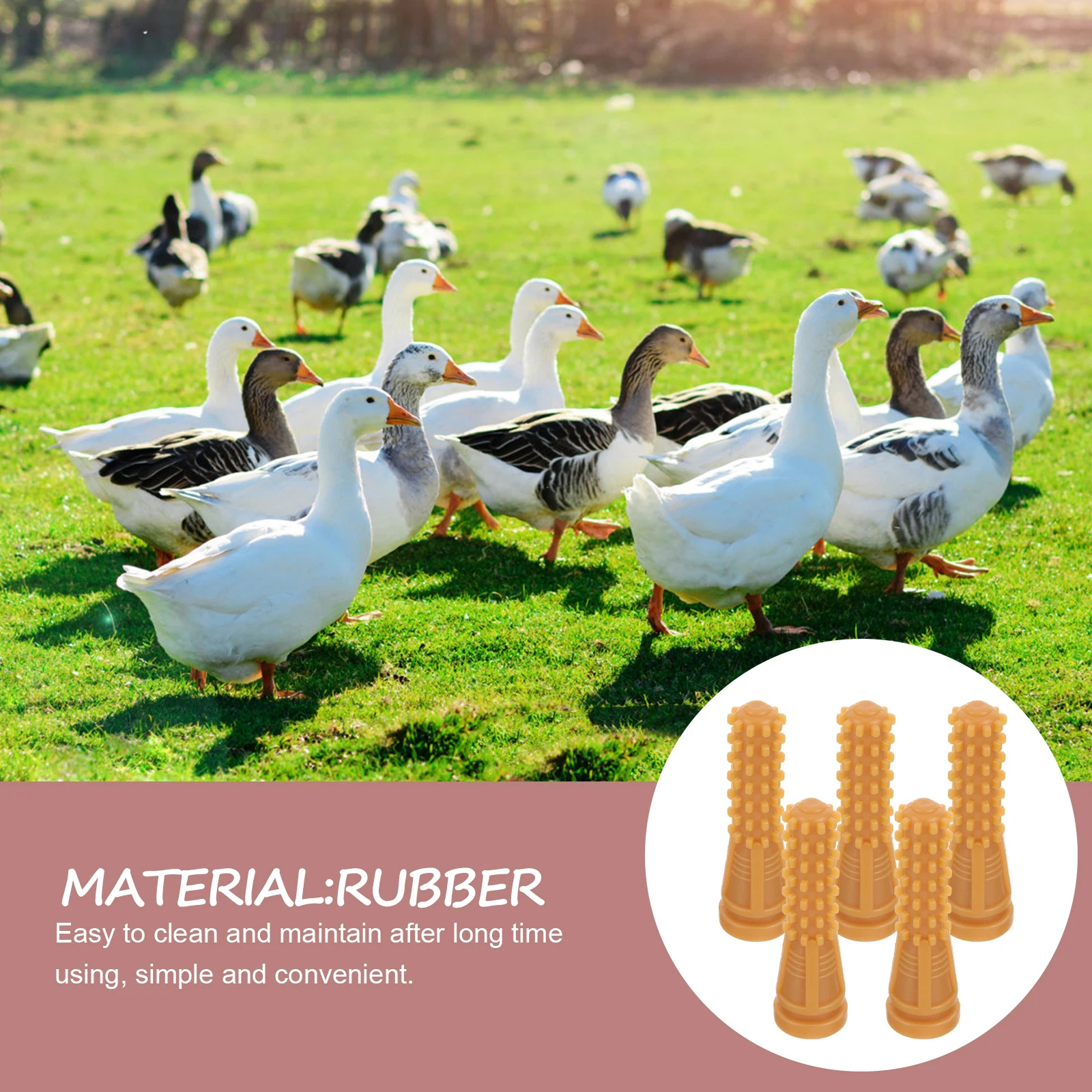 5 Pcs Hair Removal Rod Accessories Plucker Finger Poultry Drill Attachment Plucking Machine for Fingers Rubber Chicken
5 Pcs Hair Removal Rod Accessories Plucker Finger Poultry Drill Attachment Plucking Machine for Fingers Rubber Chicken