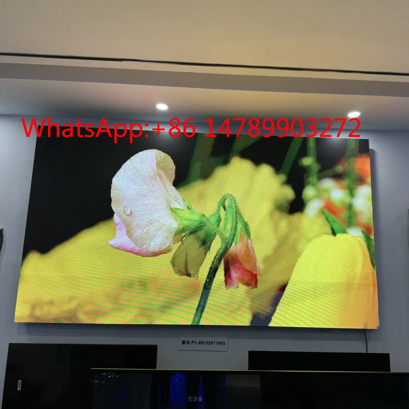 P3.91 Outdoor Rental LED Wall Seamless Splicing Plaza Large Event Advertising Screen
P3.91 Outdoor Rental LED Wall Seamless Splicing Plaza Large Event Advertising Screen