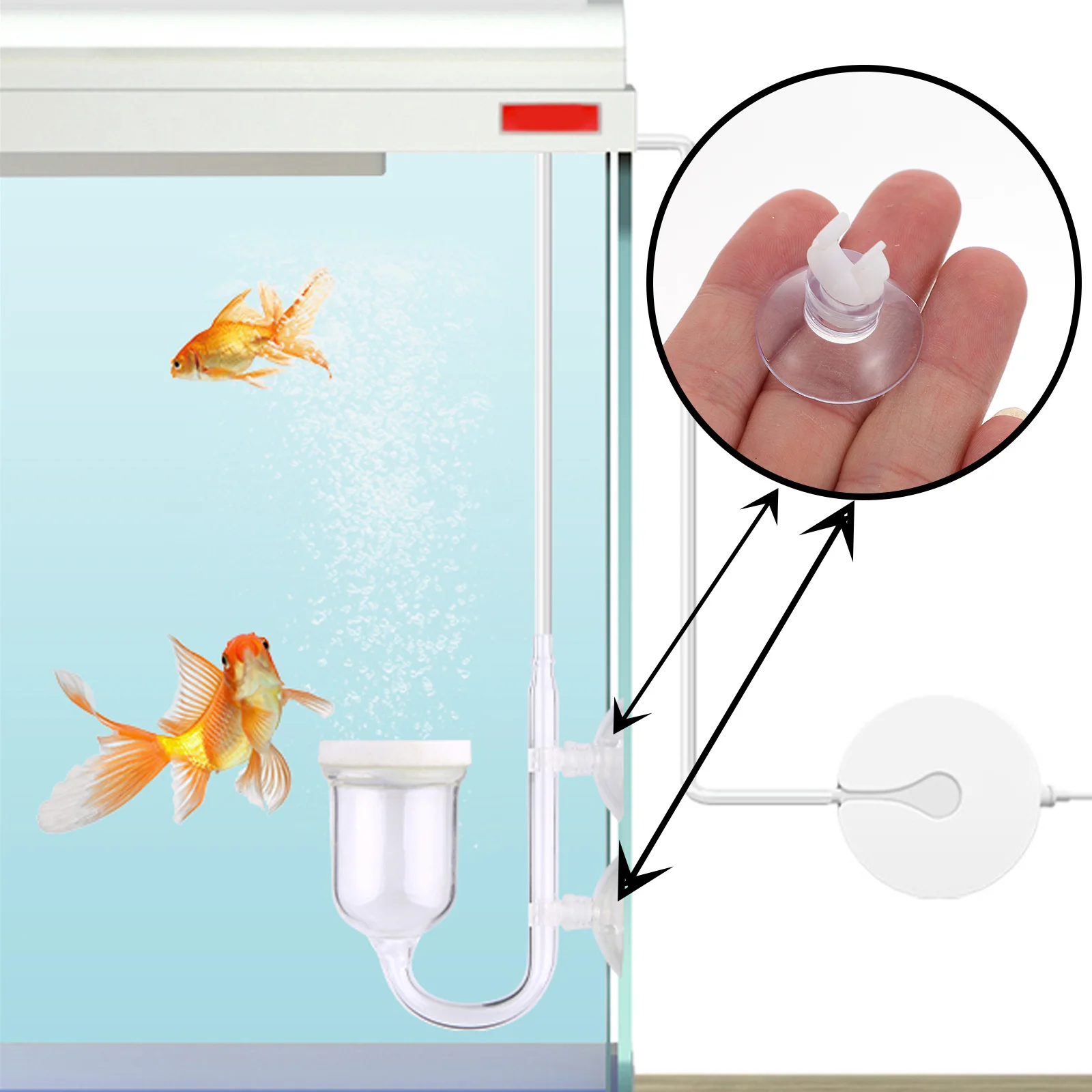 20Pcs Aquarium Hose Fixing Suction Cup for Oxygen Tube Clip Fish Tank Pump Accessory Water Flow Holder Clamp Tool
20Pcs Aquarium Hose Fixing Suction Cup for Oxygen Tube Clip Fish Tank Pump Accessory Water Flow Holder Clamp Tool