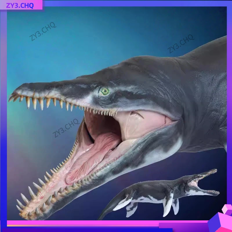 Модель PNSO Liopleurodon Jeff: научно-художественная модель в масштабе 1:35, обновленная и переработанная коллекция океанских морских рептилий для Музея океанологии
Модель PNSO Liopleurodon Jeff: научно-художественная модель в масштабе 1:35, обновленная и переработанная коллекция океанских морских рептилий для Музея океанологии
