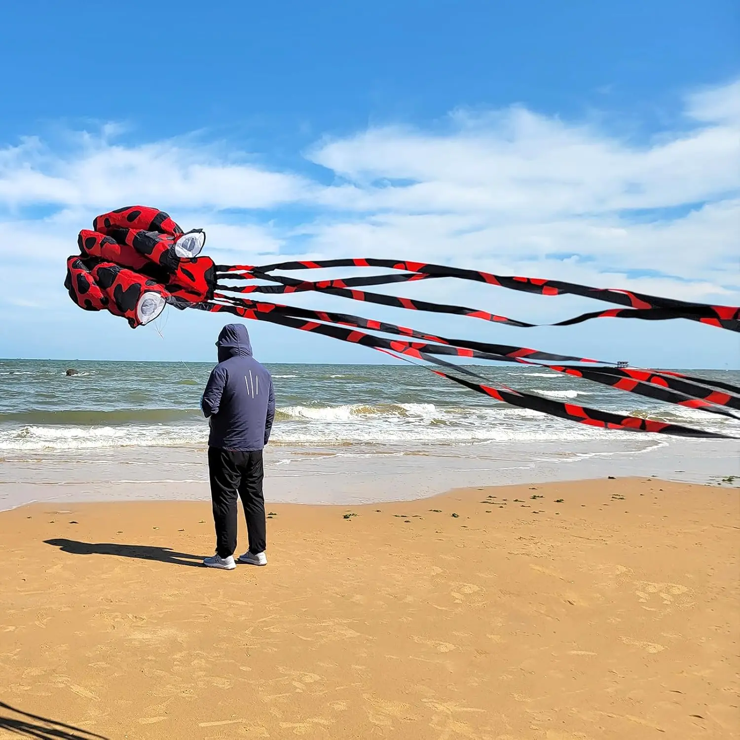 Большой 3D-воздушный змей в виде осьминога с длинными хвостами, легко запускаемый, для пляжных прогулок и семейных мероприятий
Большой 3D-воздушный змей в виде осьминога с длинными хвостами, легко запускаемый, для пляжных прогулок и семейных мероприятий