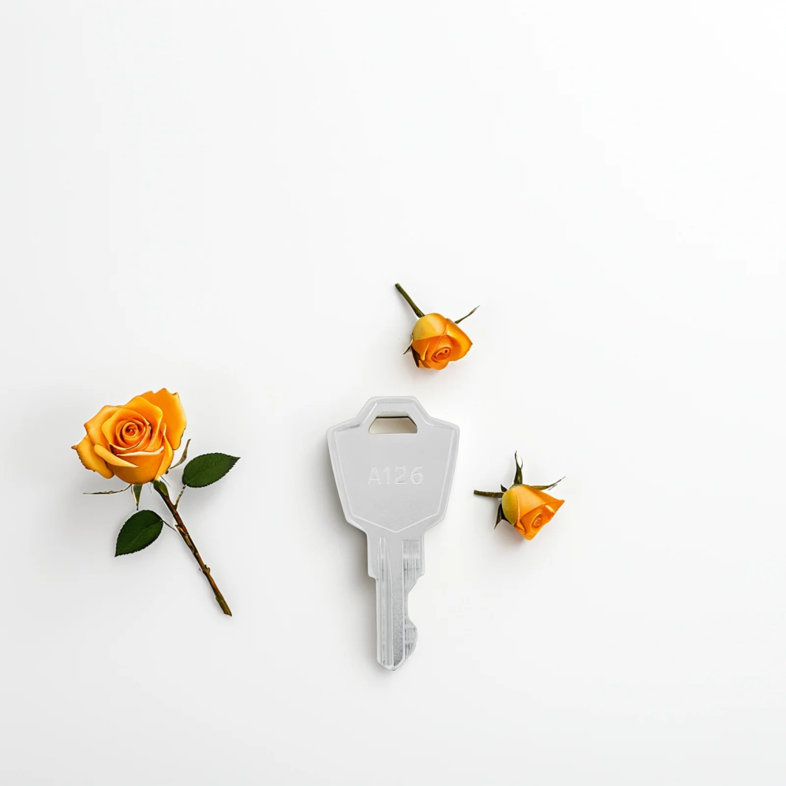 6pcs Electrical Panel Lock Keys for Selector Switches Operator Interface Security Efficient Durability High Security Wide 
6pcs Electrical Panel Lock Keys for Selector Switches Operator Interface Security Efficient Durability High Security Wide