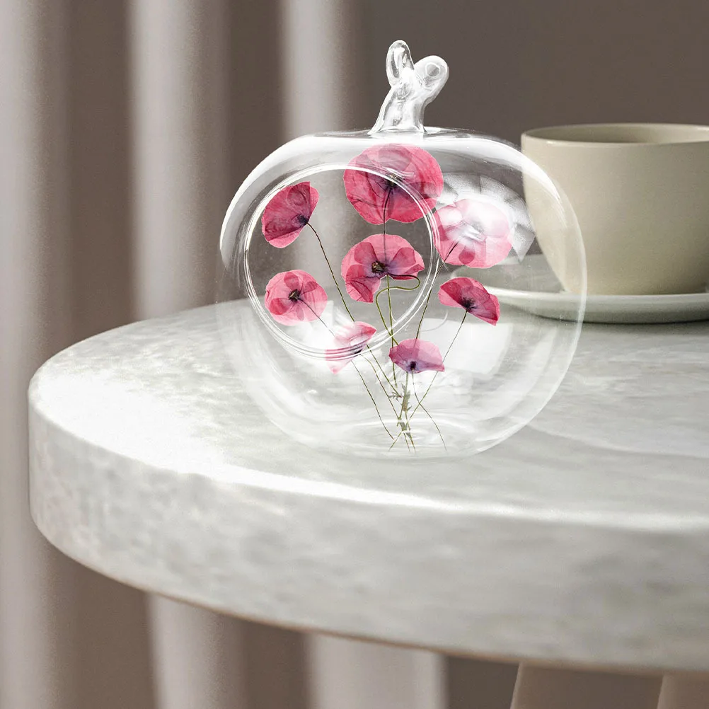 3Pcs Apple Shaped Transparent Hydroponic Glass Bottle Clear Tabletop Planter Holder for Micro Landscape Decoration
3Pcs Apple Shaped Transparent Hydroponic Glass Bottle Clear Tabletop Planter Holder for Micro Landscape Decoration