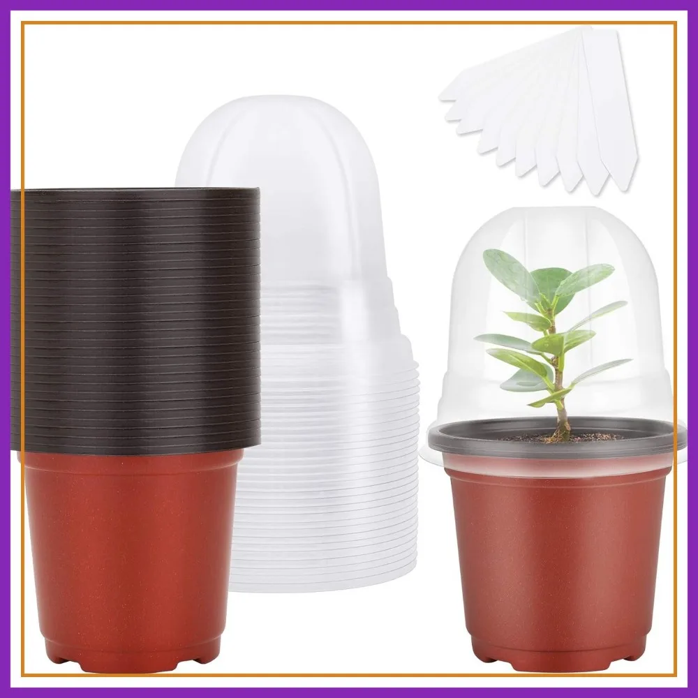 4" Soft Plastic Nursery Pots with Humidity Domes, 30 Sets for Seed Starting
4" Soft Plastic Nursery Pots with Humidity Domes, 30 Sets for Seed Starting