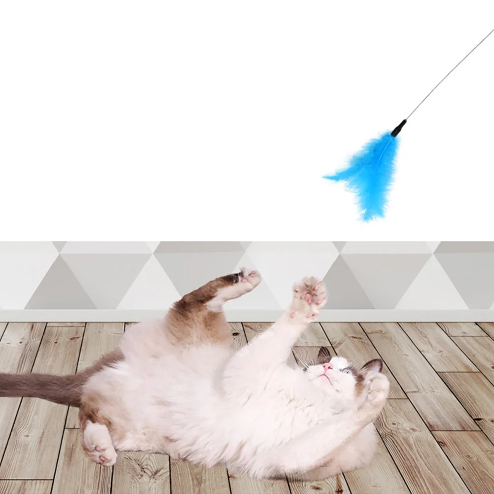3pcs Teaser Toys Flirting Stick Kitten Playing PVC Wand DIY Pet Supply Interactive Kitten Playing Toy Cat Toy
3pcs Teaser Toys Flirting Stick Kitten Playing PVC Wand DIY Pet Supply Interactive Kitten Playing Toy Cat Toy