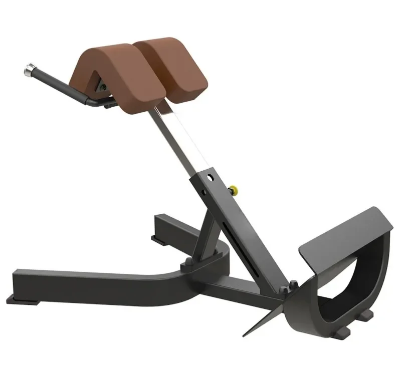 Professional Gym Equipment Body Building Roman Chair
Professional Gym Equipment Body Building Roman Chair