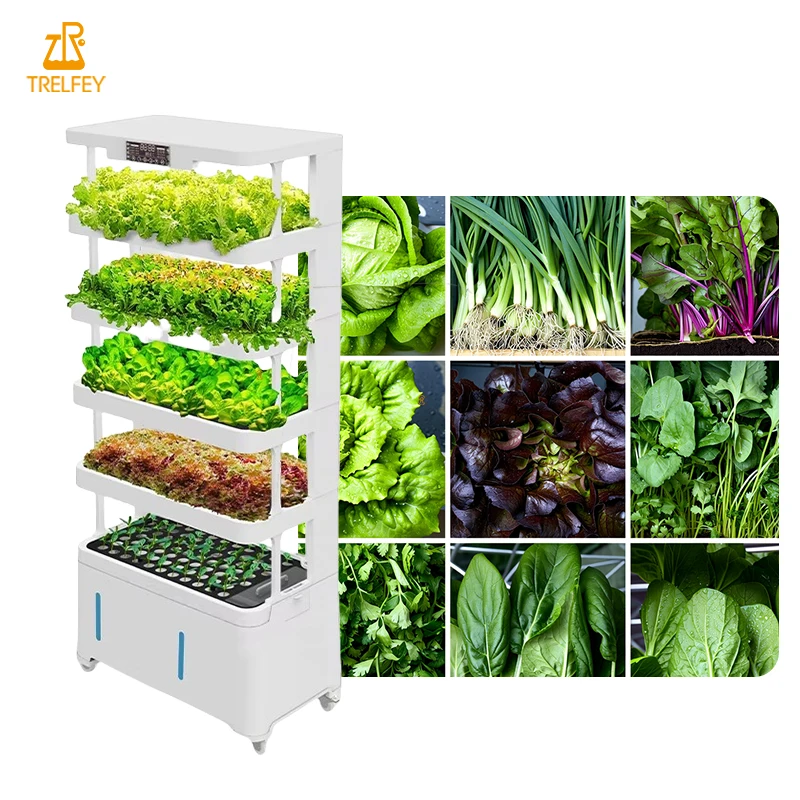 High-quality intelligent farming vegetable planter household cucumber and tomato hydroponics system
High-quality intelligent farming vegetable planter household cucumber and tomato hydroponics system