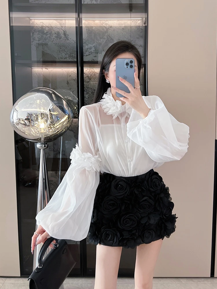 Spring Fashion High Waist Lantern Sleeve Blouse And Short Skirt Two Piece Set Women's Elegant And Slimming Floral Lace Top
Spring Fashion High Waist Lantern Sleeve Blouse And Short Skirt Two Piece Set Women's Elegant And Slimming Floral Lace Top