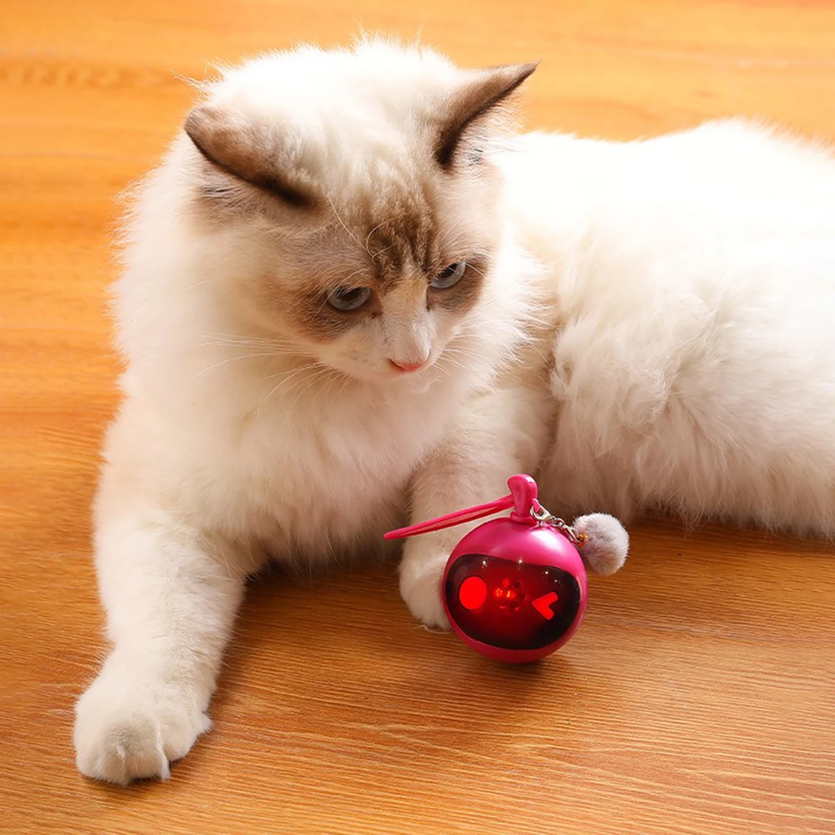 Smart Interactive Cat Teaser, Auto-Rolling Ball with Lights, Type-C Charging, ABS+PC for Indoor Cats/Dogs
Smart Interactive Cat Teaser, Auto-Rolling Ball with Lights, Type-C Charging, ABS+PC for Indoor Cats/Dogs