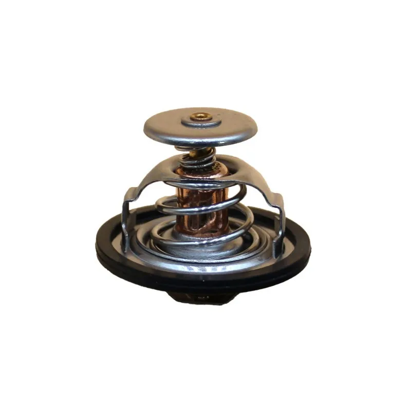 121850-49810 For Hitachi ZX60USB-3F Thermostat ZX65USB-3F Thermostat Excavator
121850-49810 For Hitachi ZX60USB-3F Thermostat ZX65USB-3F Thermostat Excavator