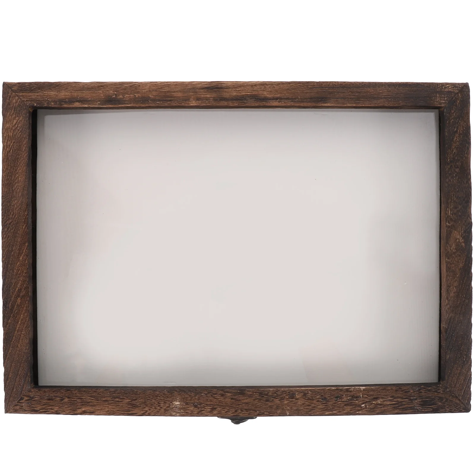 Fly Screen Insect Specimen Box A4 Picture Frame Pin Display Case Acrylic Cabinets
Fly Screen Insect Specimen Box A4 Picture Frame Pin Display Case Acrylic Cabinets