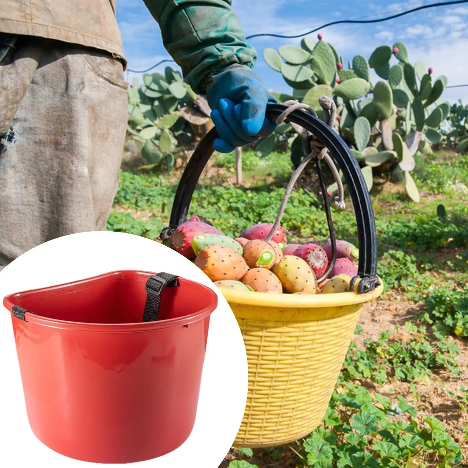 Fruit Picking Bucket Storage Container for Harvesting Fruits and Vegetables Large Capacity Picker Bucket for Garden Yard Lawn
Fruit Picking Bucket Storage Container for Harvesting Fruits and Vegetables Large Capacity Picker Bucket for Garden Yard Lawn