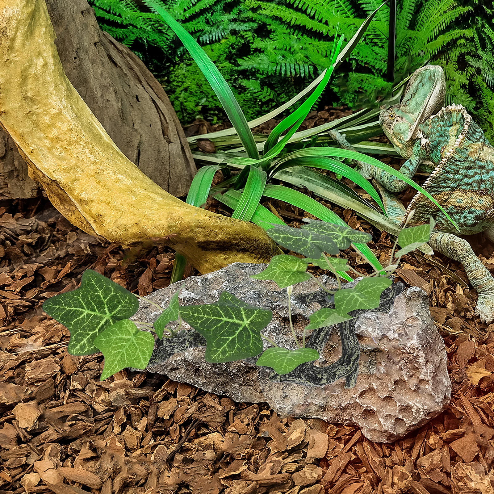 Realistic Resin Reptile Terrarium Plant Decor For Amphibian Habitat Snake Tank Accessories Climbing Resting Spot Terrarium
Realistic Resin Reptile Terrarium Plant Decor For Amphibian Habitat Snake Tank Accessories Climbing Resting Spot Terrarium