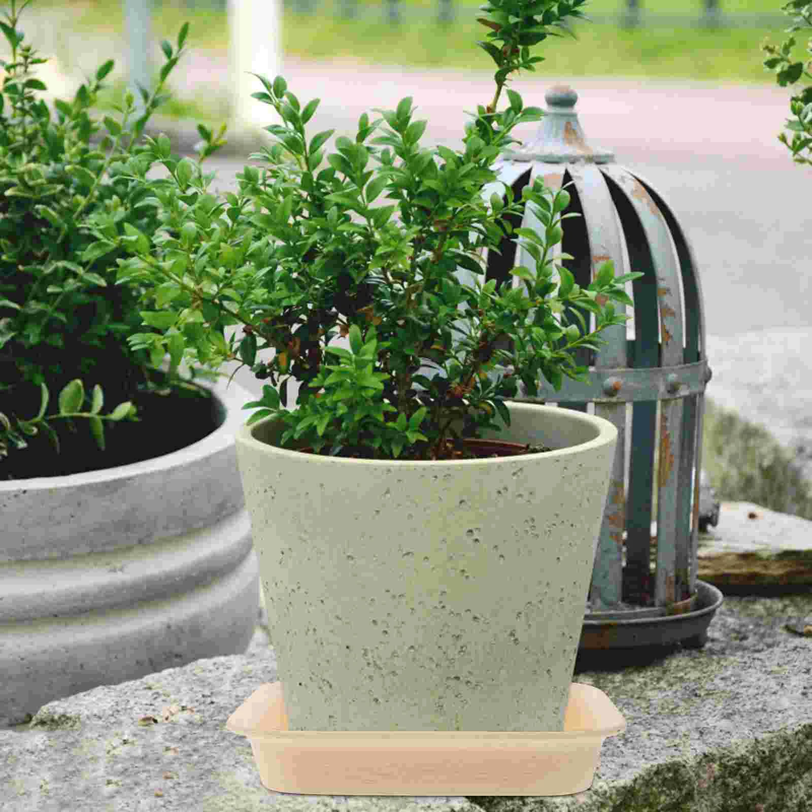 2 Pcs Indoor Plant Pot Flower Plastic Tray Pots for Plants Square Plate Large Mat
2 Pcs Indoor Plant Pot Flower Plastic Tray Pots for Plants Square Plate Large Mat