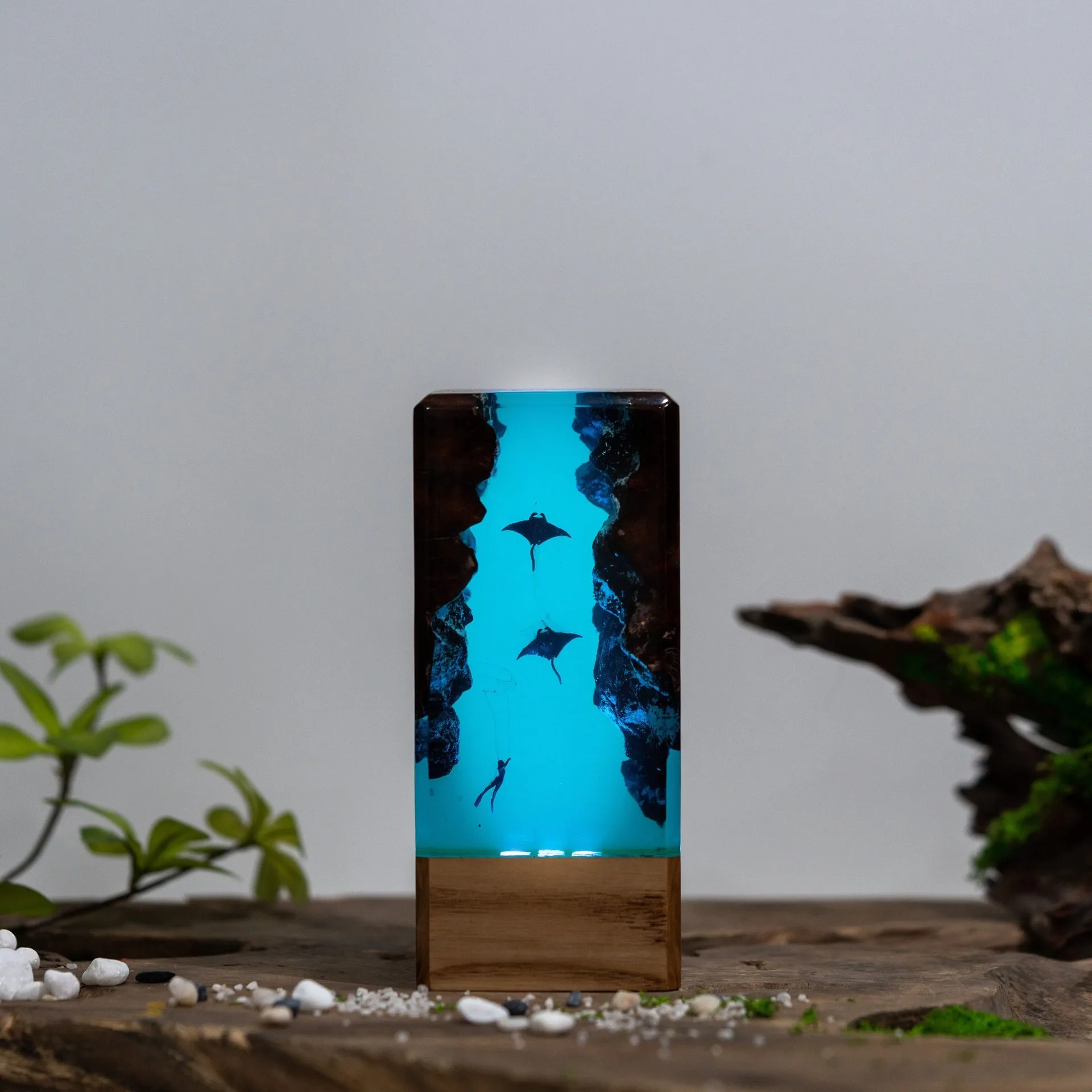 Scuba Divers and Manta Ray Resin Night Light Ornaments for Deep-sea Exploration Home Decoration Craft Items and Gifts
Scuba Divers and Manta Ray Resin Night Light Ornaments for Deep-sea Exploration Home Decoration Craft Items and Gifts