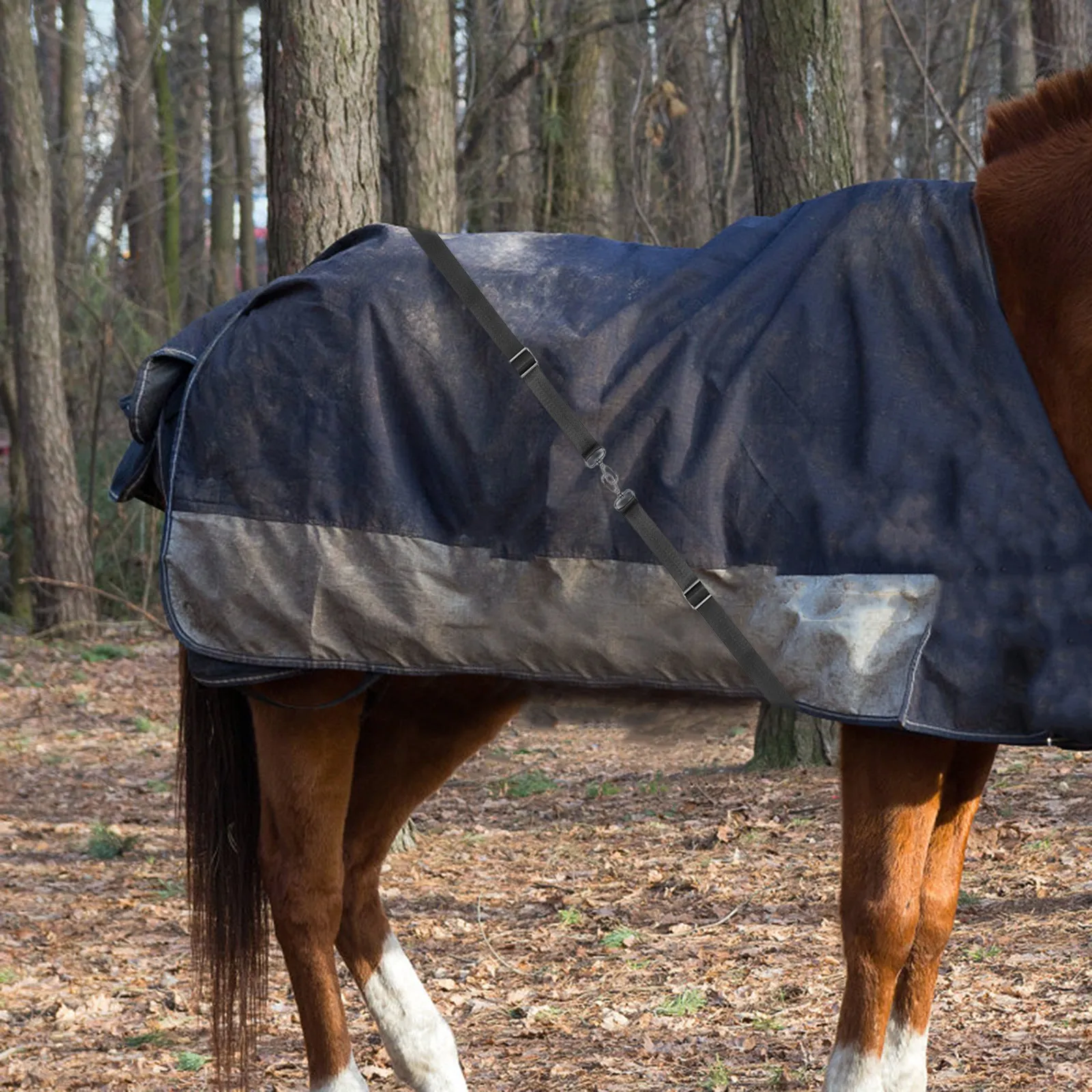 2 шт. Ремни для конских попон, регулируемые нейлоновые ремни для попон, фиксирующие ленты для ног, двойные поворотные защелки-пряжки для конских попон
2 шт. Ремни для конских попон, регулируемые нейлоновые ремни для попон, фиксирующие ленты для ног, двойные поворотные защелки-пряжки для конских попон