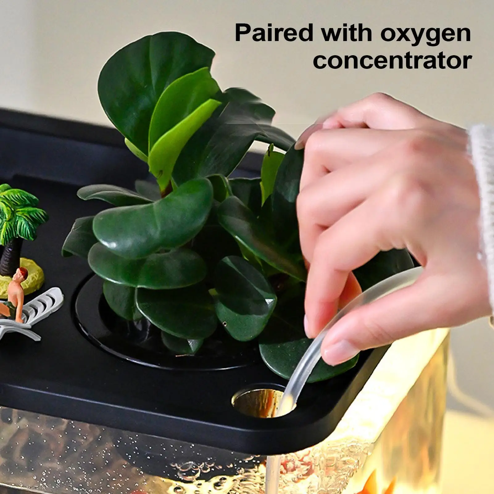 Small Aquarium 3 Color Lights Household Fish Tank 360 Viewing Aquarium For Landscaping Workplace Living Room Foyer Entryway
Small Aquarium 3 Color Lights Household Fish Tank 360 Viewing Aquarium For Landscaping Workplace Living Room Foyer Entryway