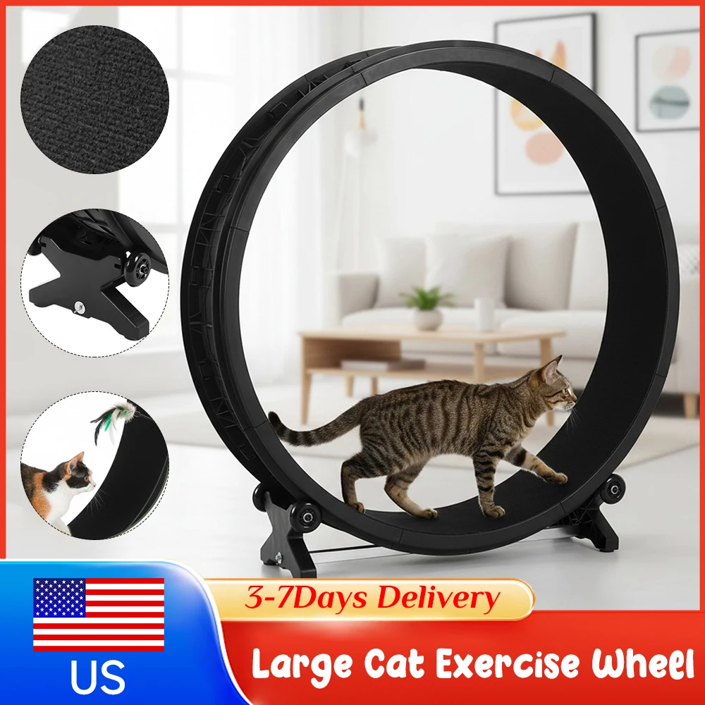 Бесшумное беговое колесо для кошек 48 дюймов: устойчивое, долговечное, для фитнеса, похудения и тренировок в помещении
Бесшумное беговое колесо для кошек 48 дюймов: устойчивое, долговечное, для фитнеса, похудения и тренировок в помещении
