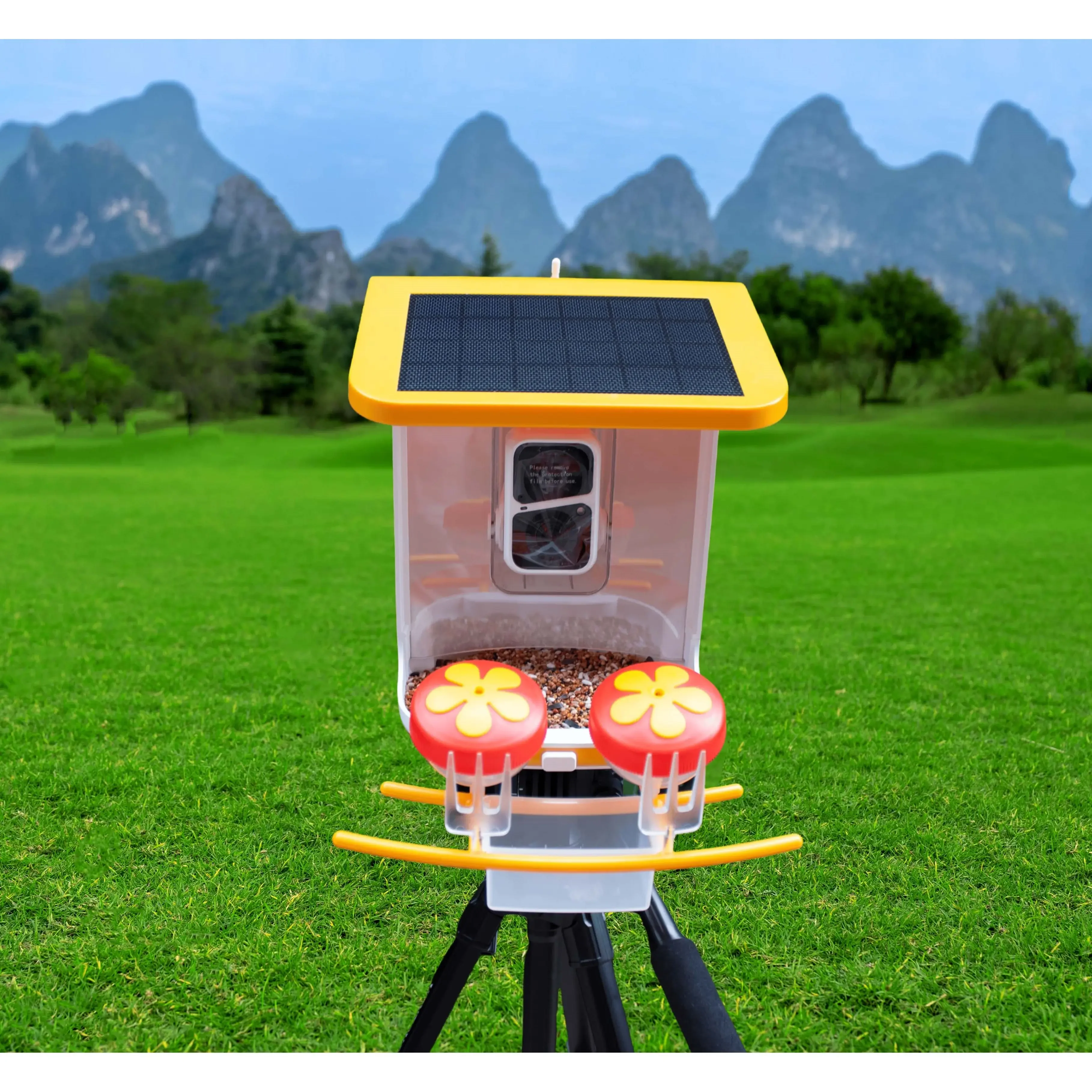 Wireless Outdoor APP Control AI Identify Bird Species Smart Feeder Camera
Wireless Outdoor APP Control AI Identify Bird Species Smart Feeder Camera