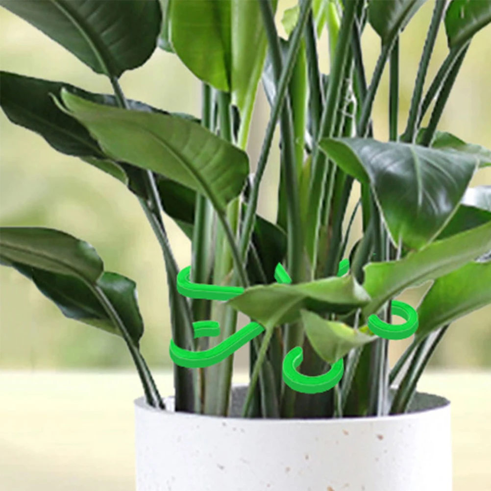 12 Pcs Plant Support Frame Stand Garden Clips for Climbing Plants Bonsai Stem Supports Vine Rods Flower Gather
12 Pcs Plant Support Frame Stand Garden Clips for Climbing Plants Bonsai Stem Supports Vine Rods Flower Gather