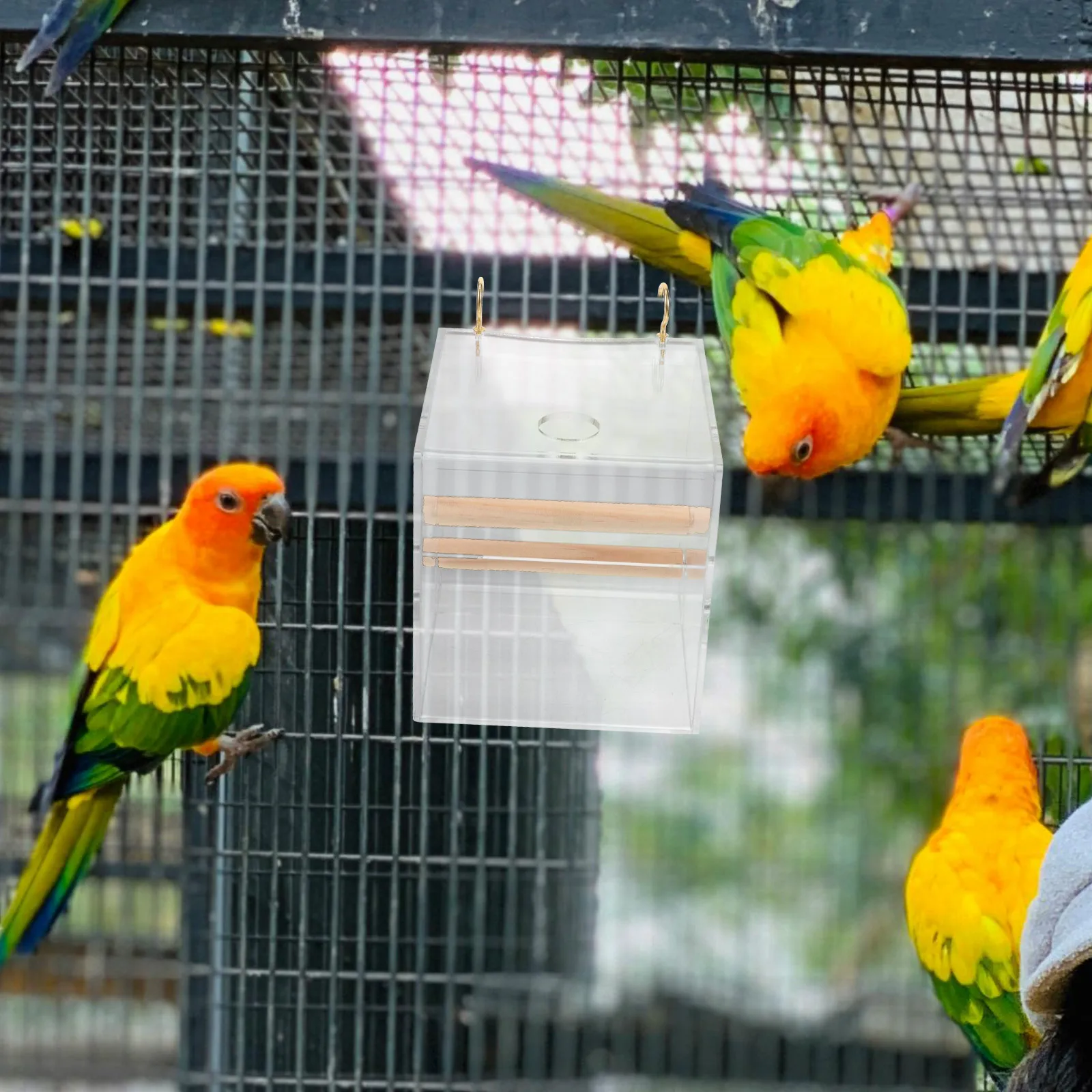 Acrylic Parrot Feeder Splash Proof Bird Food Box Cages Chicken Feeder Container Durable Easy Clean Small Bird Cage Food
Acrylic Parrot Feeder Splash Proof Bird Food Box Cages Chicken Feeder Container Durable Easy Clean Small Bird Cage Food
