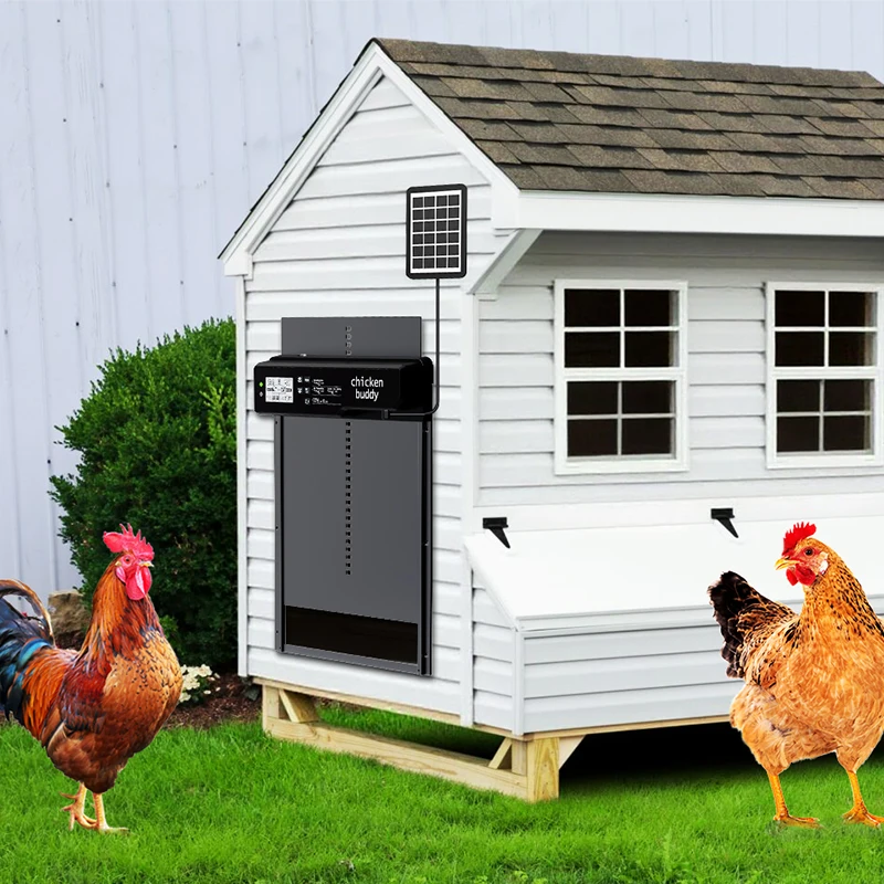 Waterproof Aluminum Alloy Automatic Chicken Door with Solar Powered Timing and Light Sensing Function Suitable for Chicken
Waterproof Aluminum Alloy Automatic Chicken Door with Solar Powered Timing and Light Sensing Function Suitable for Chicken