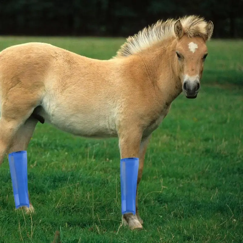 Horse Fly Leggings Reusable Horse Leggins Breathable Design Horse Boots Fly Leggings For Equine Fly Protection For Horses
Horse Fly Leggings Reusable Horse Leggins Breathable Design Horse Boots Fly Leggings For Equine Fly Protection For Horses