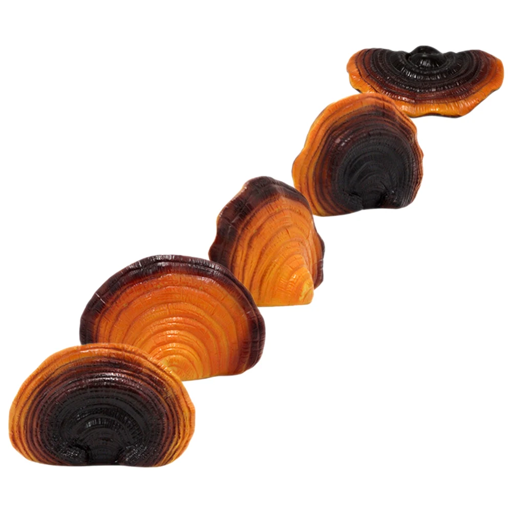 Resin Mushroom Statue Simulated Ganoderma Lawn naments Crafts Decor Garden Decoration Micro L Mushroom Adornment Storage
Resin Mushroom Statue Simulated Ganoderma Lawn naments Crafts Decor Garden Decoration Micro L Mushroom Adornment Storage