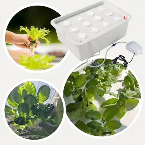 12-Port Soilless Hydroponic Grow Box With Integrated Air Pump For Herbs, Lettuce, And Leafy Vegetables
12-Port Soilless Hydroponic Grow Box With Integrated Air Pump For Herbs, Lettuce, And Leafy Vegetables