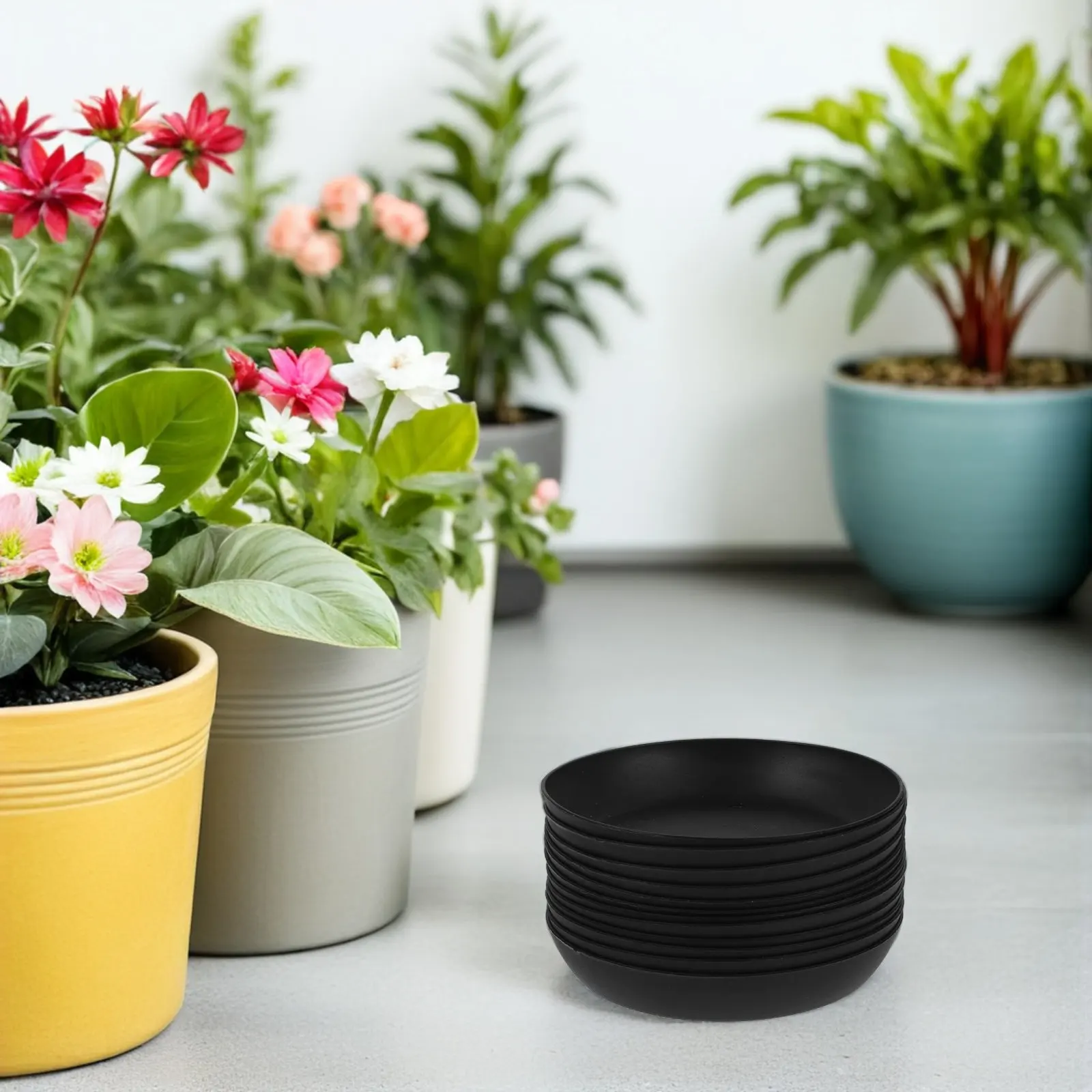 24Pcs Plant Saucer Drip Trays Plastic Round Flower Pot Holders Indoor Outdoor Garden Pot Base Succulent Bonsai Planter Water
24Pcs Plant Saucer Drip Trays Plastic Round Flower Pot Holders Indoor Outdoor Garden Pot Base Succulent Bonsai Planter Water