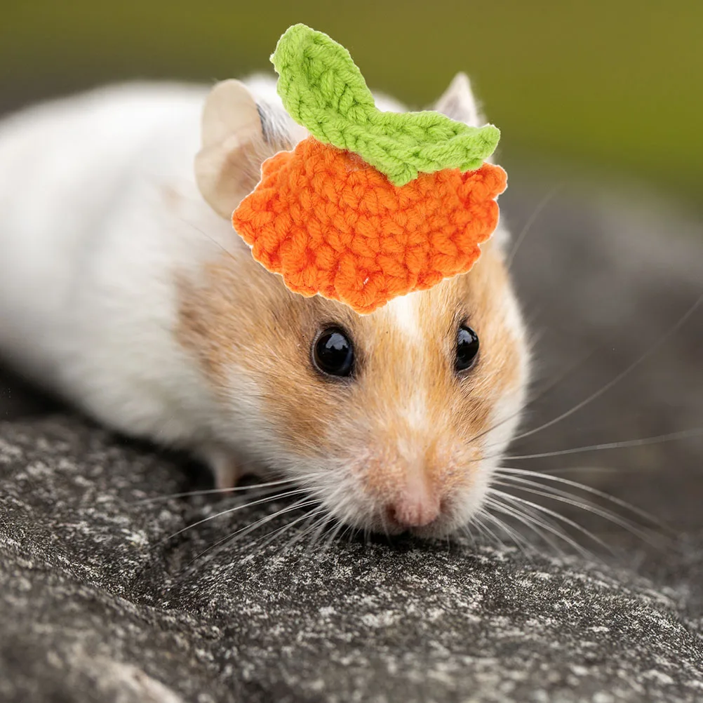 2pcs Pet Hat Cute Small Accessories for Hamster Guinea Pig Squirrel Knitted Outfit Lightweight Washable Reusable Adorable
2pcs Pet Hat Cute Small Accessories for Hamster Guinea Pig Squirrel Knitted Outfit Lightweight Washable Reusable Adorable