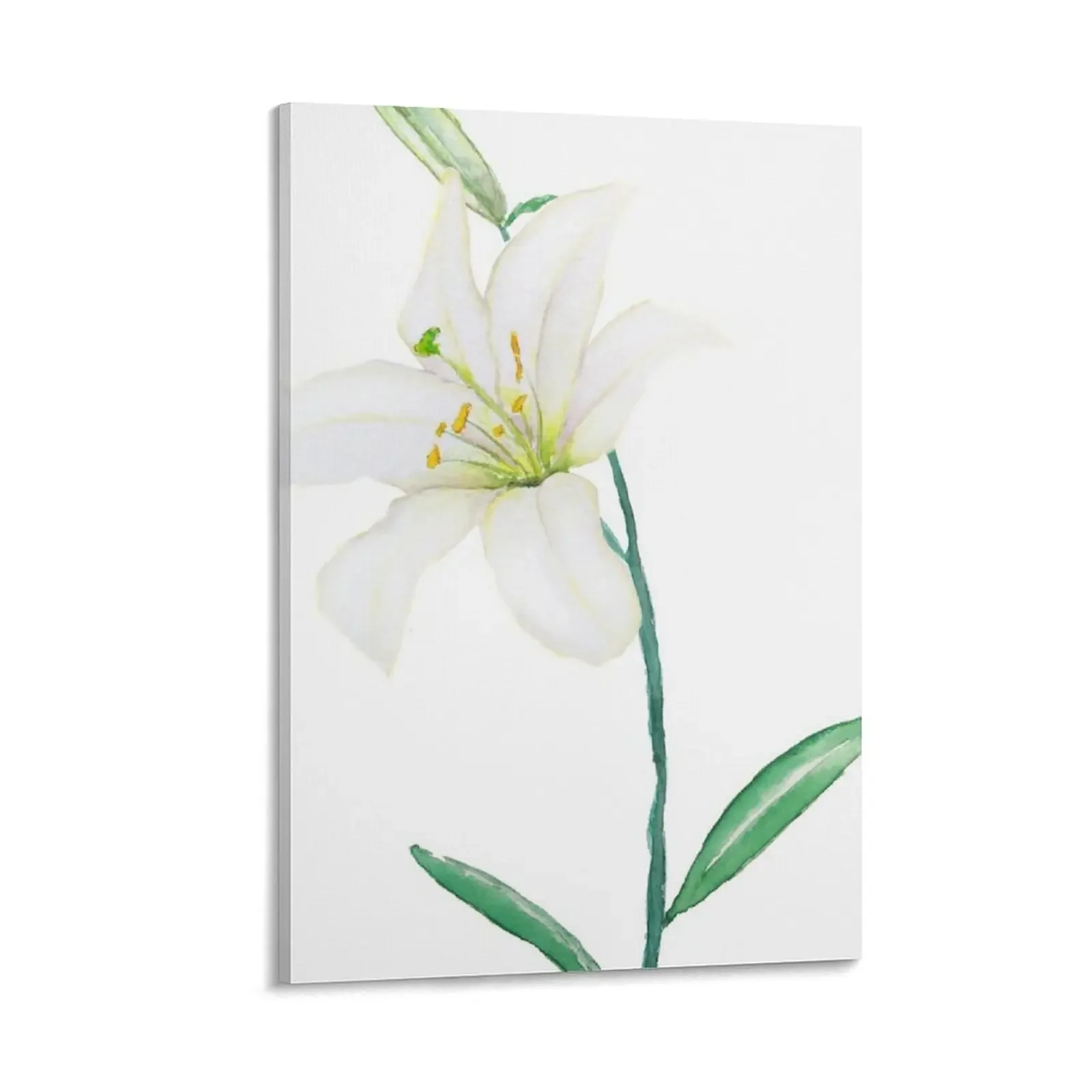 white lily watercolor Canvas Painting canvas wall art room decorations for girls posters for room
white lily watercolor Canvas Painting canvas wall art room decorations for girls posters for room