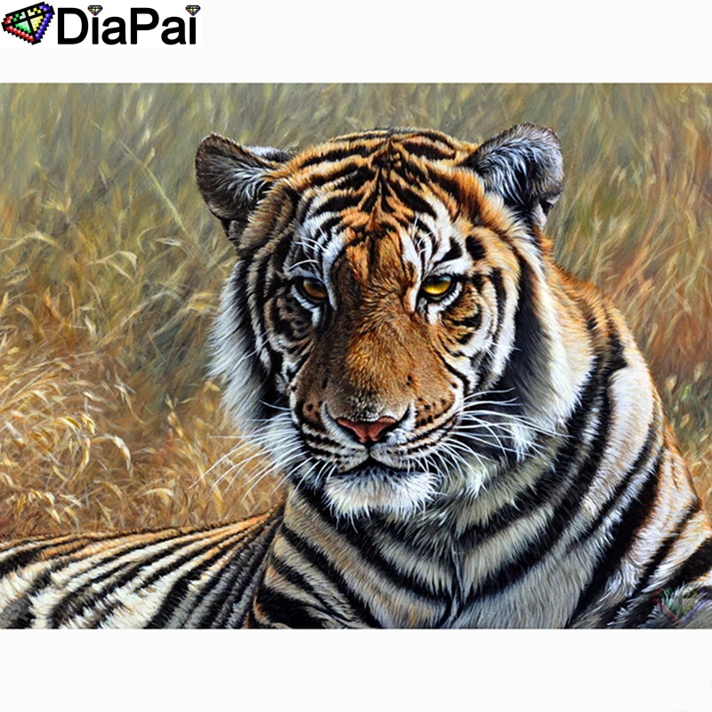 DIAPAI 5D алмазная живопись полная квадратная/круглая "мультяшная сова" картина горный хрусталь DIY Алмазная вышивка домашний декор A26319
DIAPAI 5D алмазная живопись полная квадратная/круглая "мультяшная сова" картина горный хрусталь DIY Алмазная вышивка домашний декор A26319