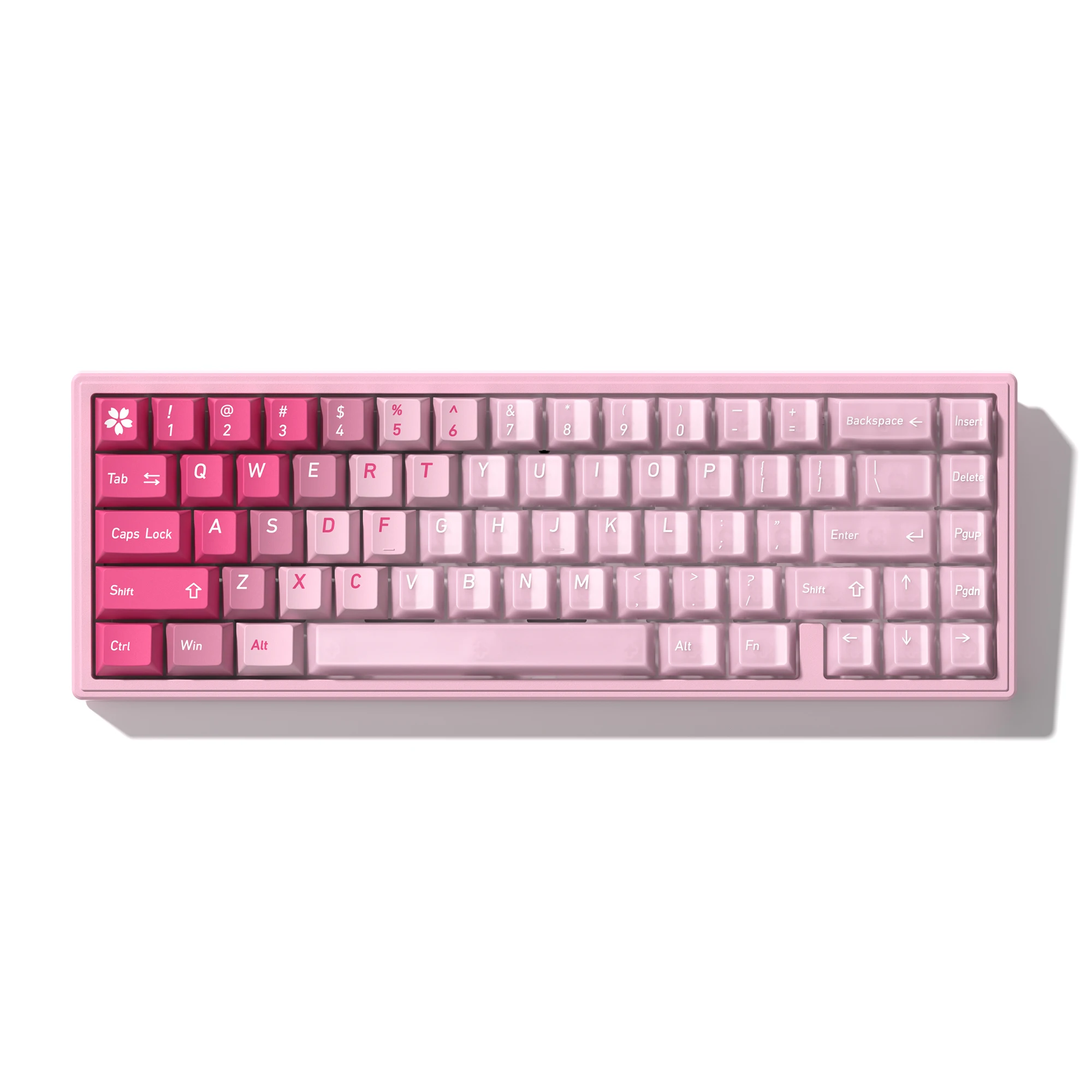 150 Keys Pink Transparent Clear Jelly Keycaps Crystal PC+PBT Keycap Through Key cap Cherry Profile for MX Switch Keyboard
150 Keys Pink Transparent Clear Jelly Keycaps Crystal PC+PBT Keycap Through Key cap Cherry Profile for MX Switch Keyboard