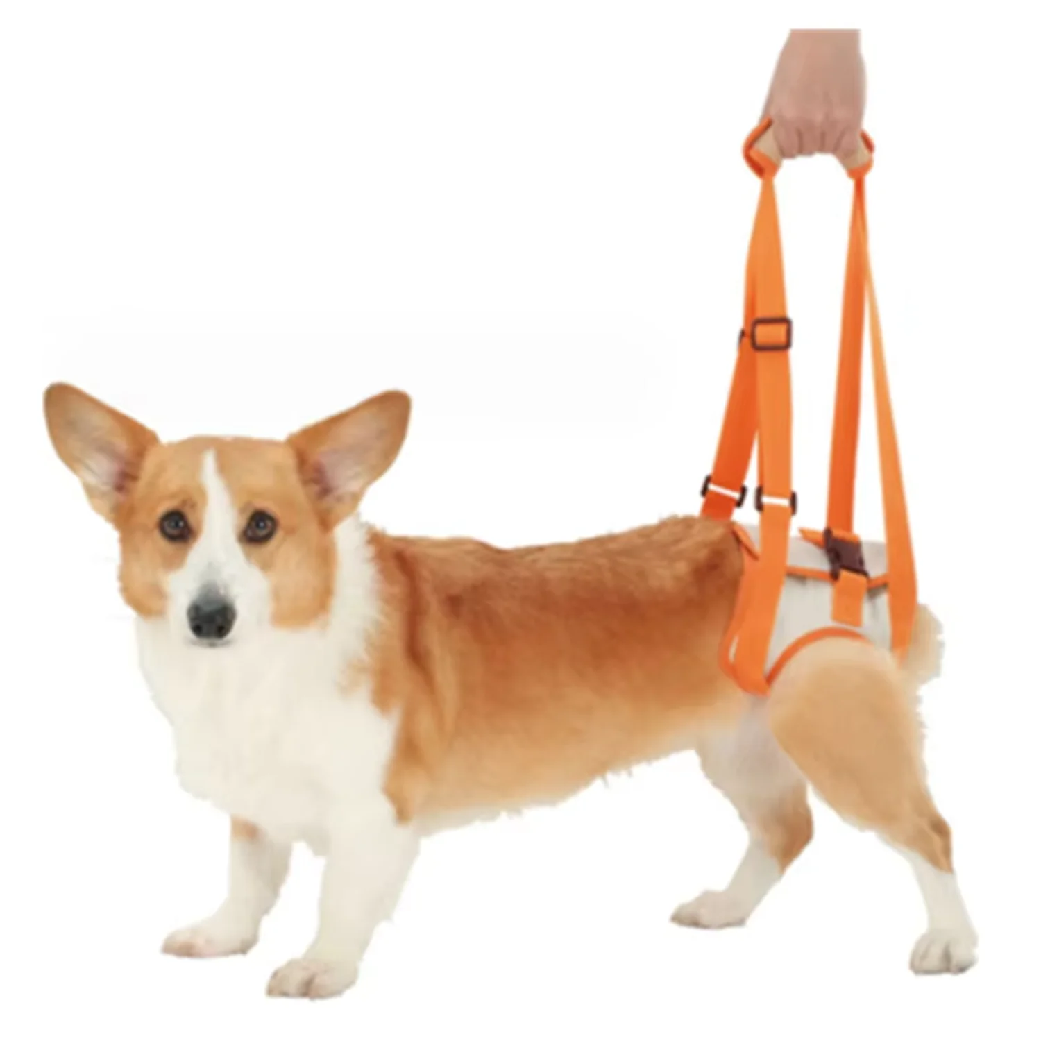 Adjustable Dog Sling Back Legs Support Pet Accessories Canine Aid and Ligament Rehabilitation Dog Lift Harness
Adjustable Dog Sling Back Legs Support Pet Accessories Canine Aid and Ligament Rehabilitation Dog Lift Harness