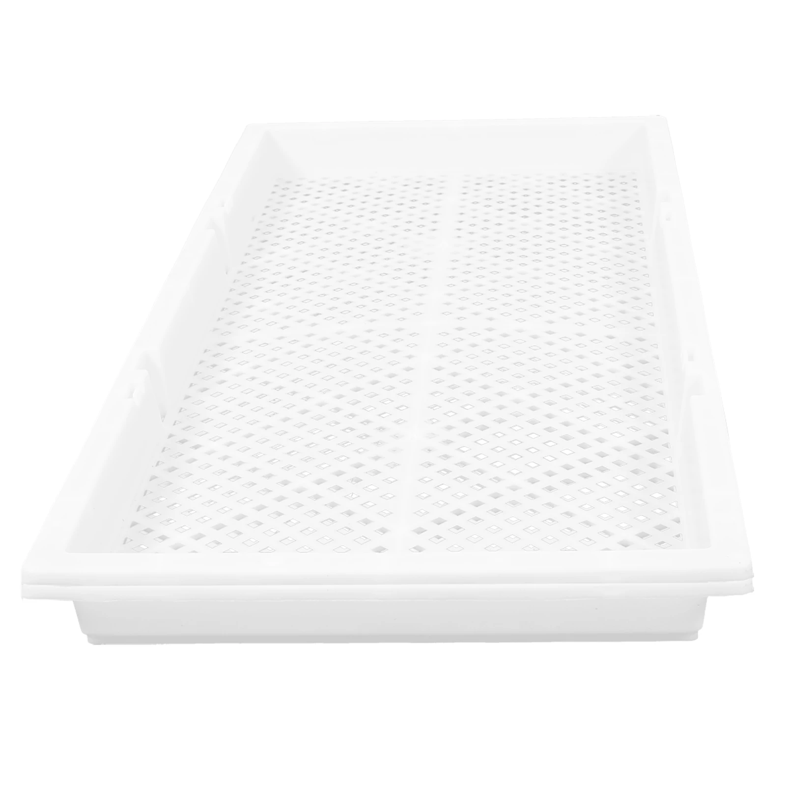 2pcs Sprouting Nursery Plate Starter Trays Planting Plate Breathable Holes Vegetable Flower Germination Multi-Hole Growing Trays
2pcs Sprouting Nursery Plate Starter Trays Planting Plate Breathable Holes Vegetable Flower Germination Multi-Hole Growing Trays