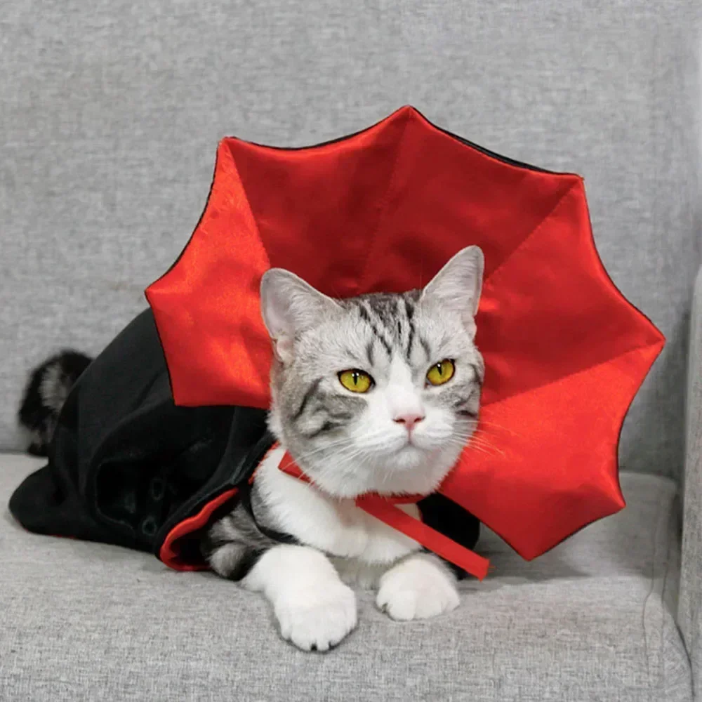Puppy Dog Cat Halloween Costume Pet Cat Vampire Devil Cape Cloak Pet Costume for Cats Small Dog Halloween Costume Party Supplies
Puppy Dog Cat Halloween Costume Pet Cat Vampire Devil Cape Cloak Pet Costume for Cats Small Dog Halloween Costume Party Supplies