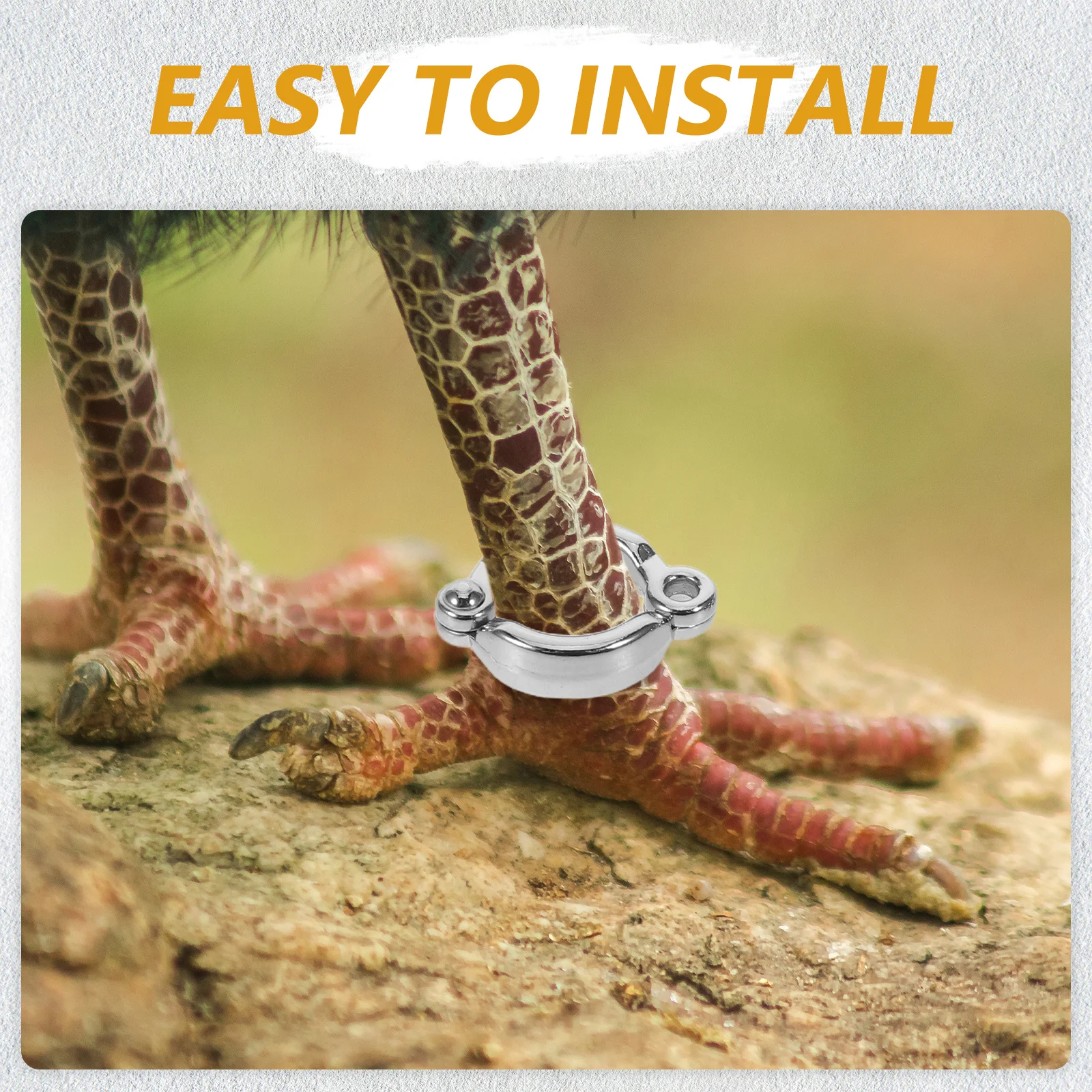 15Pcs Bird Leg Bands Reusable Metal Foot Rings for Parakeet Cockatiel Parrotlet Open Split Ring Pet Identification Accessories
15Pcs Bird Leg Bands Reusable Metal Foot Rings for Parakeet Cockatiel Parrotlet Open Split Ring Pet Identification Accessories