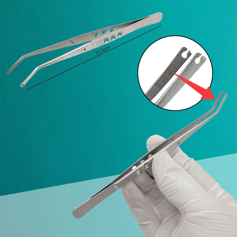 Medical Grade Stainless Steel Serrated Tweezers for Surgery Stitching Cotton Dressing and Dental Procedures College Forceps
Medical Grade Stainless Steel Serrated Tweezers for Surgery Stitching Cotton Dressing and Dental Procedures College Forceps
