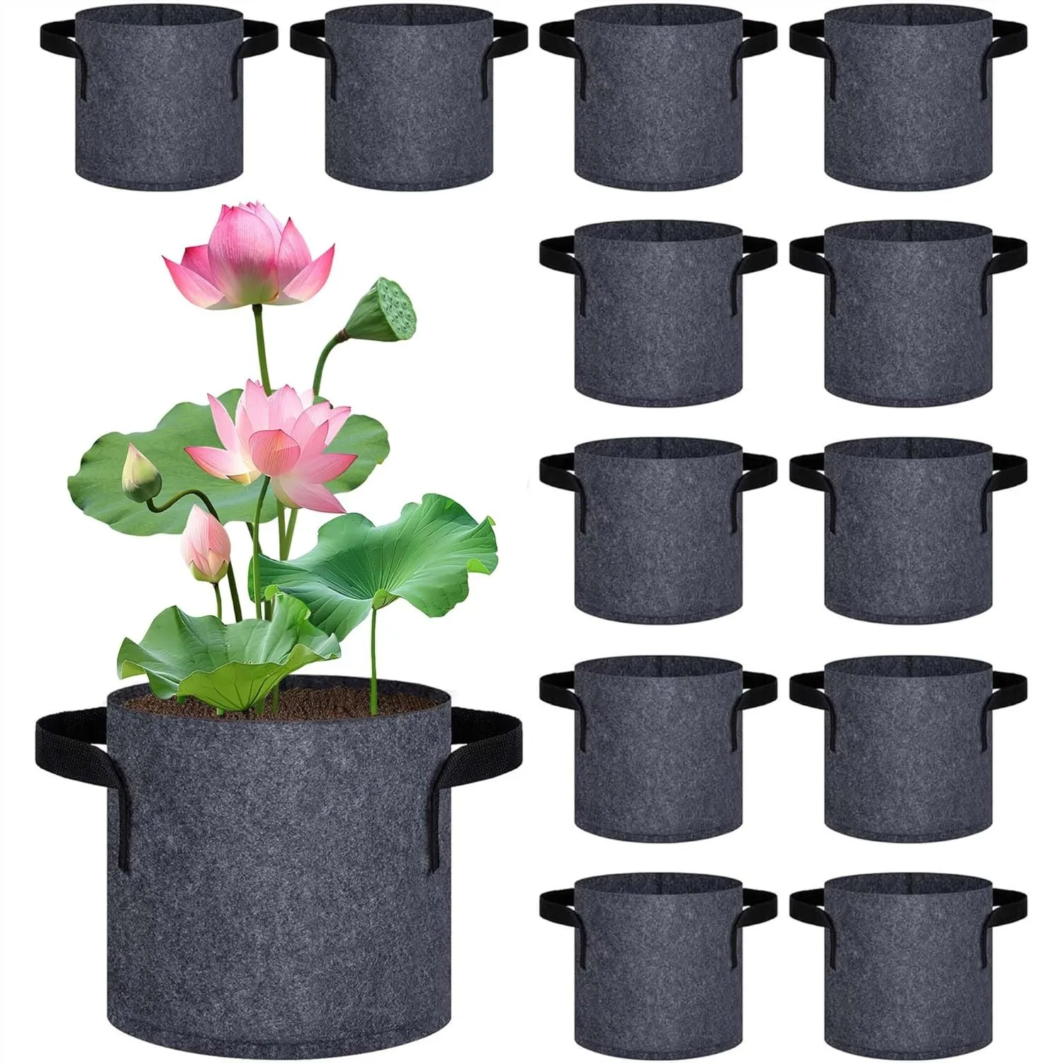 12 Pack Fabric Aquatic Plant Pots for Pond, Breathable Grow Bags with Handles for Water Lily, Lotus, 1 Gallon
12 Pack Fabric Aquatic Plant Pots for Pond, Breathable Grow Bags with Handles for Water Lily, Lotus, 1 Gallon
