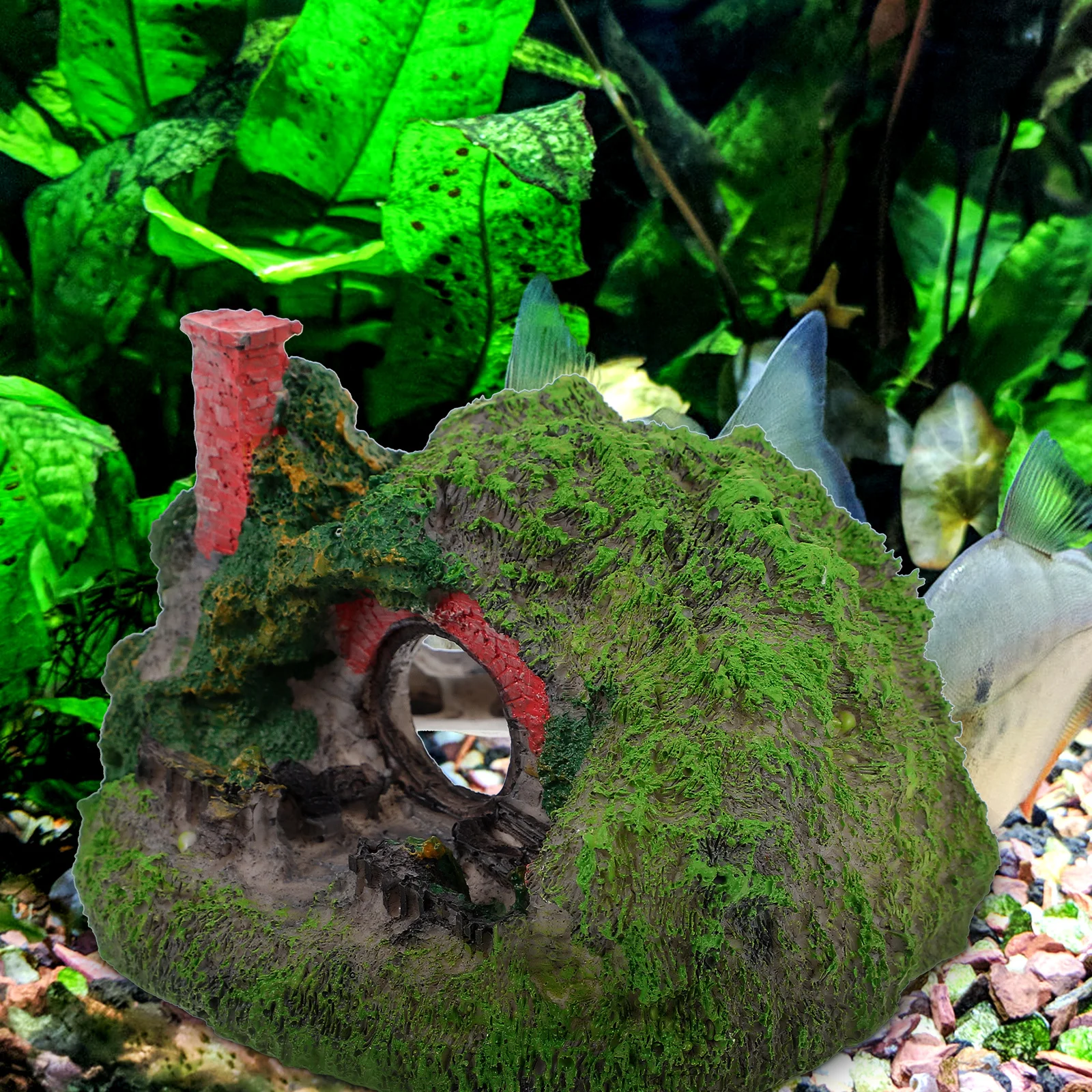 Wear-Resistant Betta Tank Hideout Resin Decorative Aquarium Cave Landscaping Fish Tank Supply Vivid Decor Aquarium Decor
Wear-Resistant Betta Tank Hideout Resin Decorative Aquarium Cave Landscaping Fish Tank Supply Vivid Decor Aquarium Decor